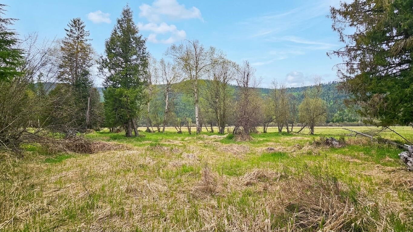 36xx Deep Lake Boundary Rd - Photo 14