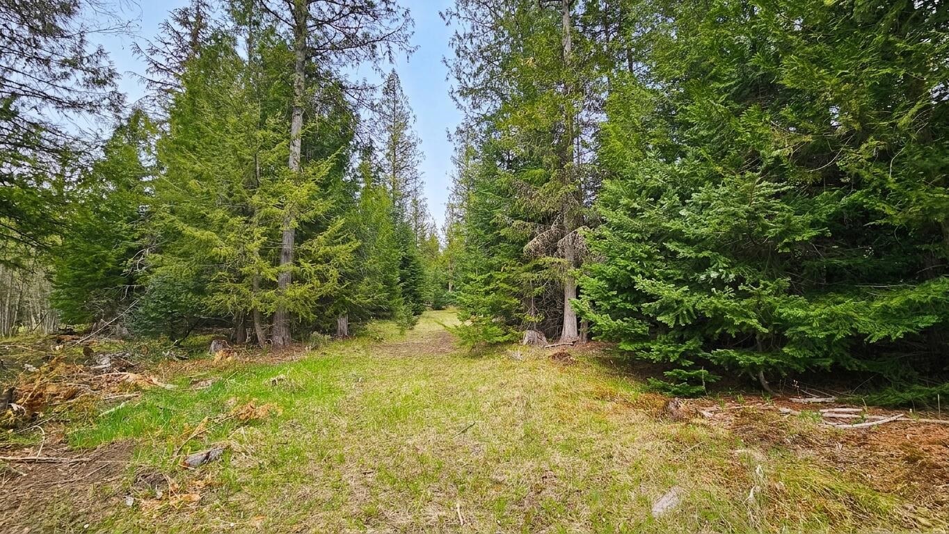 36xx Deep Lake Boundary Rd - Photo 16