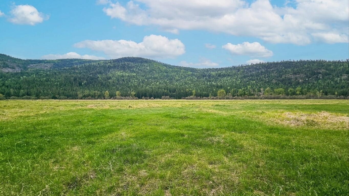 36xx Deep Lake Boundary Rd - Photo 6