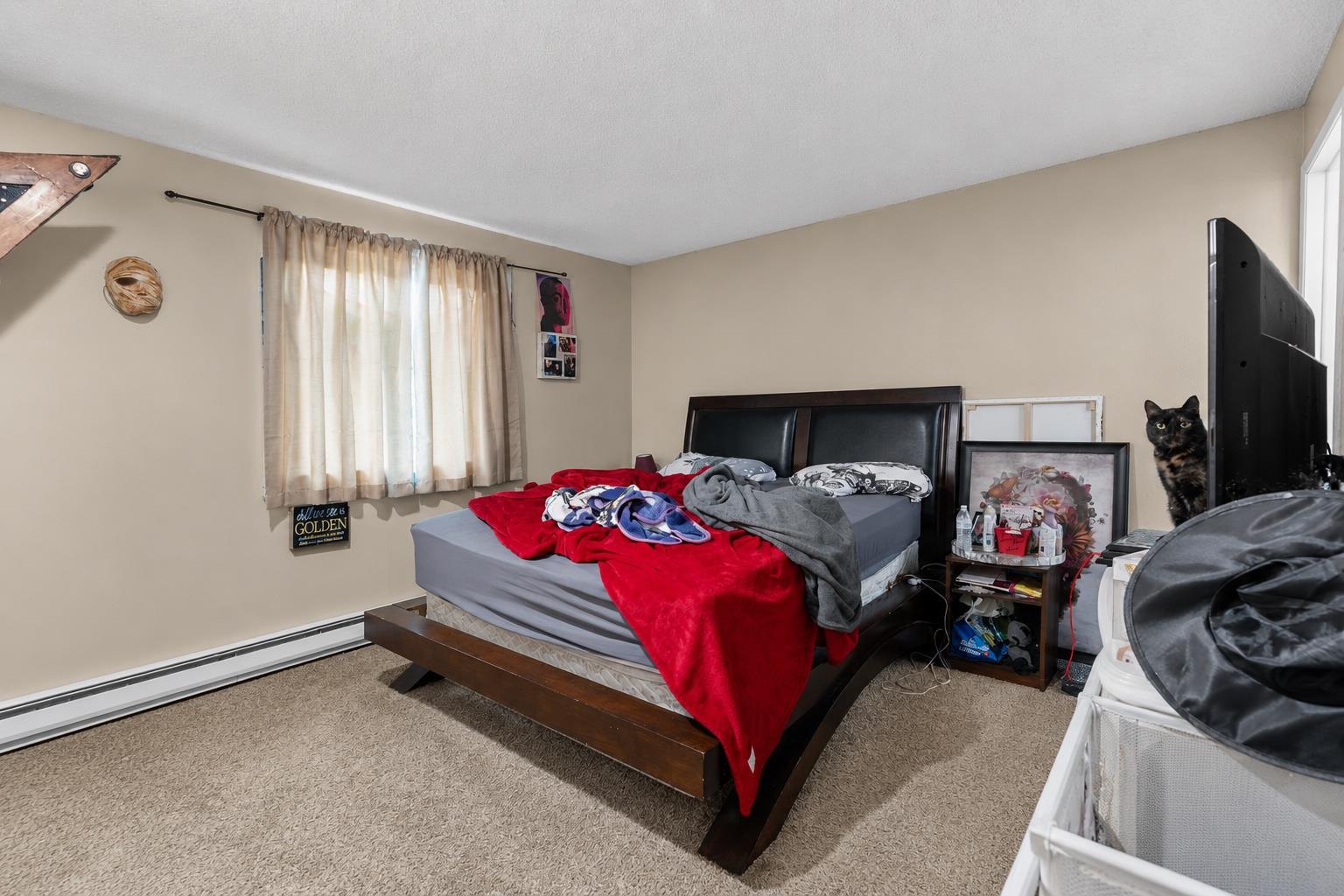8737 N Colton St - Photo 12