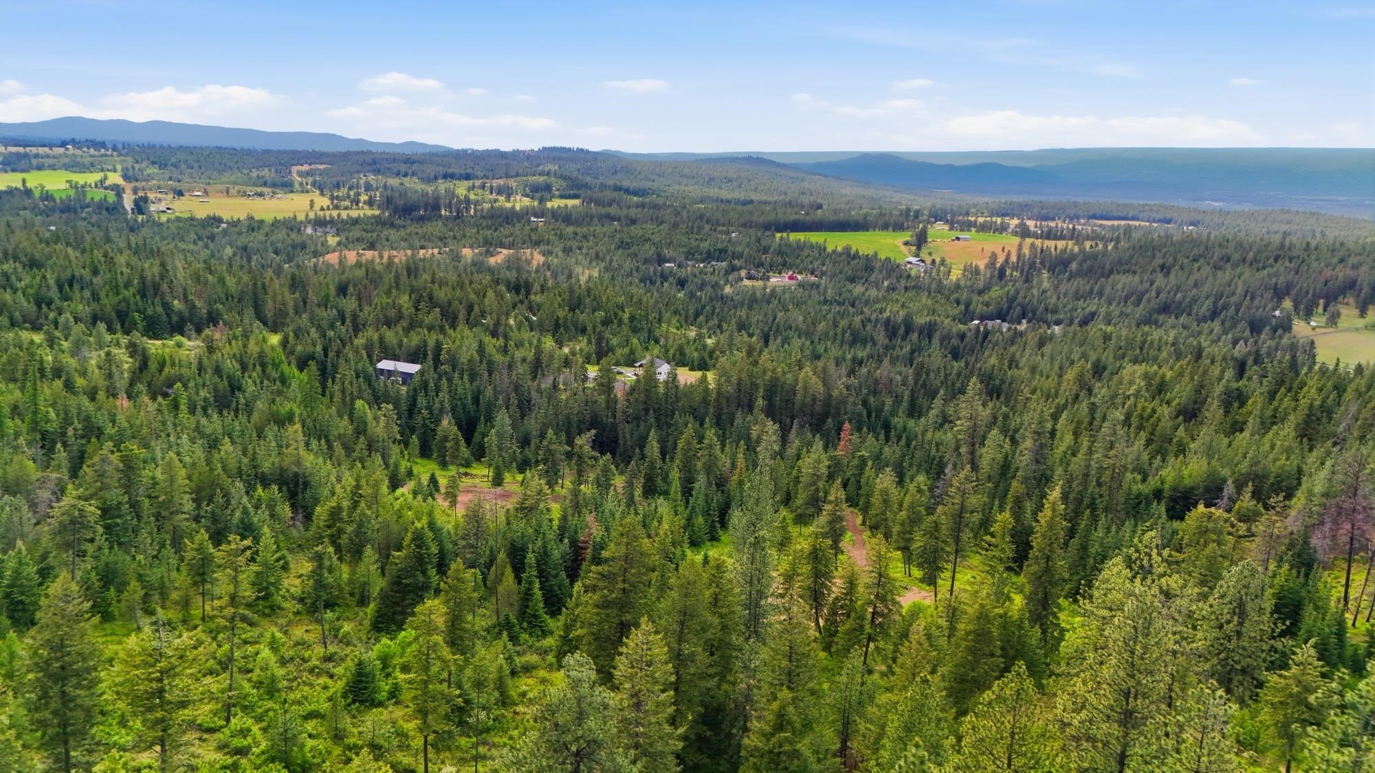 11532 E Antler Rd - Photo 40