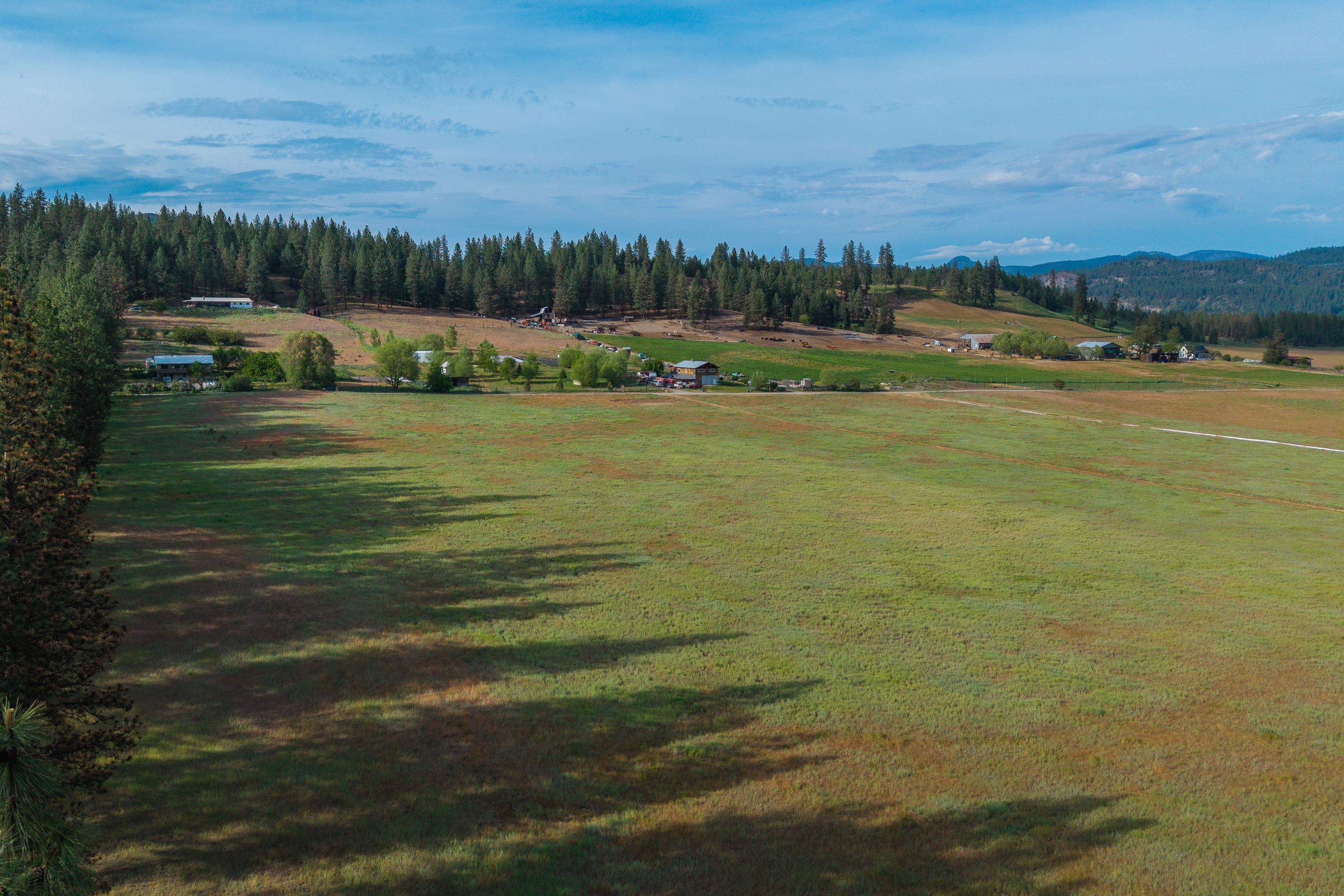 20XX Ray Anderson Rd - Photo 15