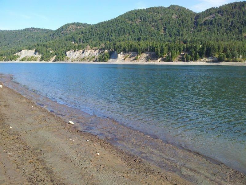 20XX Ray Anderson Rd - Photo 4