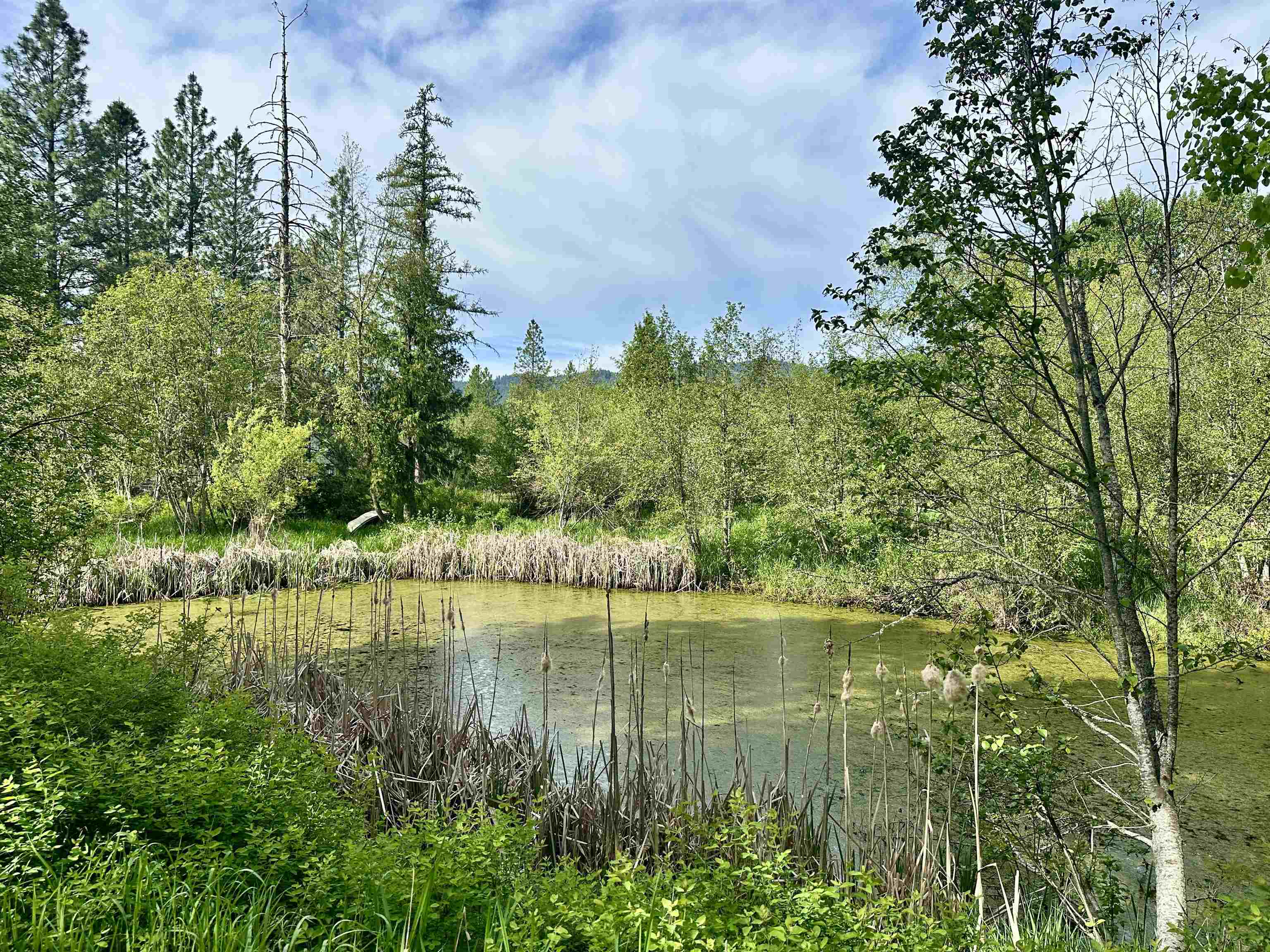 251 Sicley Rd - Photo 25