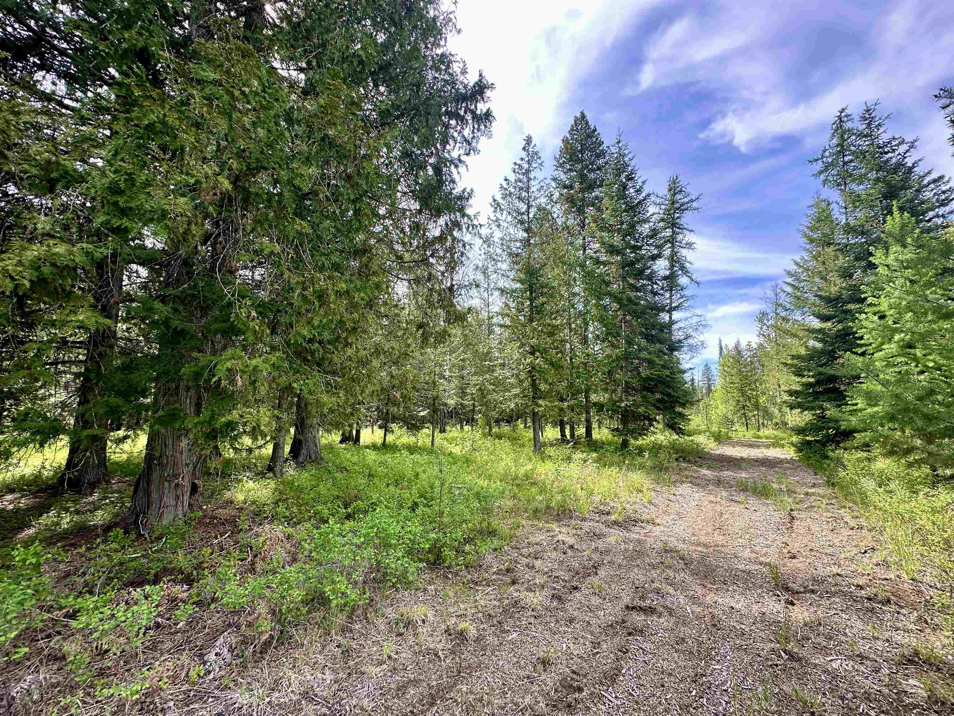 251 Sicley Rd - Photo 27