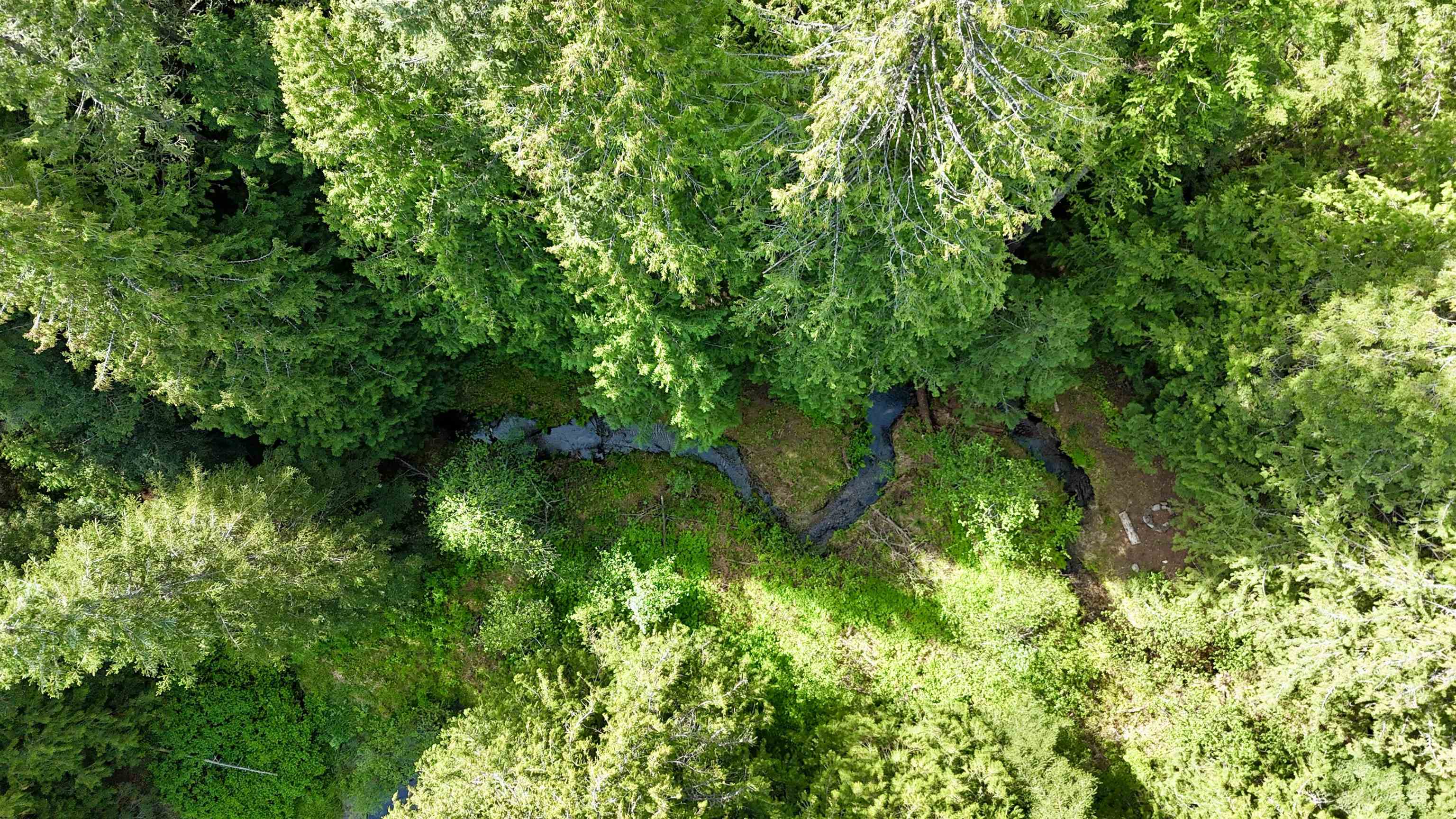 251 Sicley Rd - Photo 30