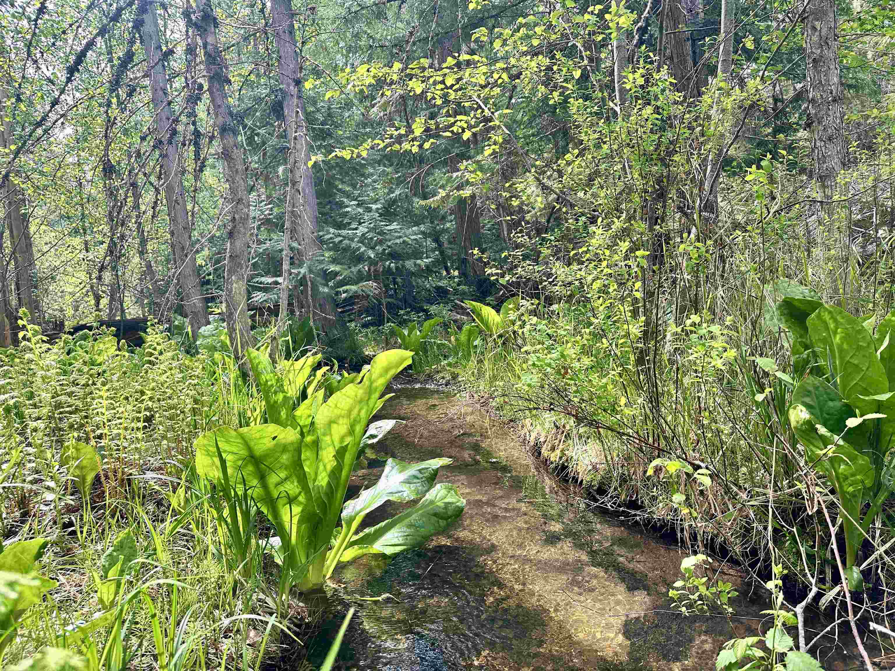 251 Sicley Rd - Photo 33