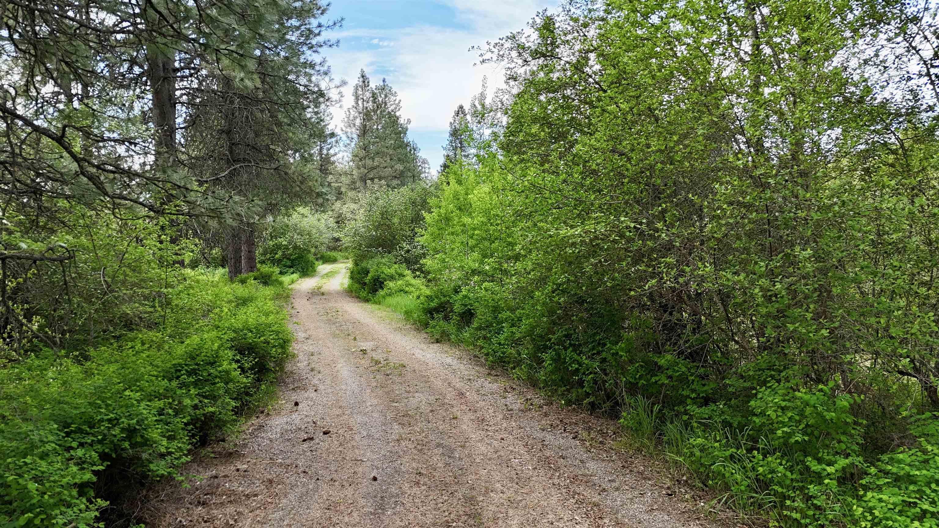 251 Sicley Rd - Photo 35