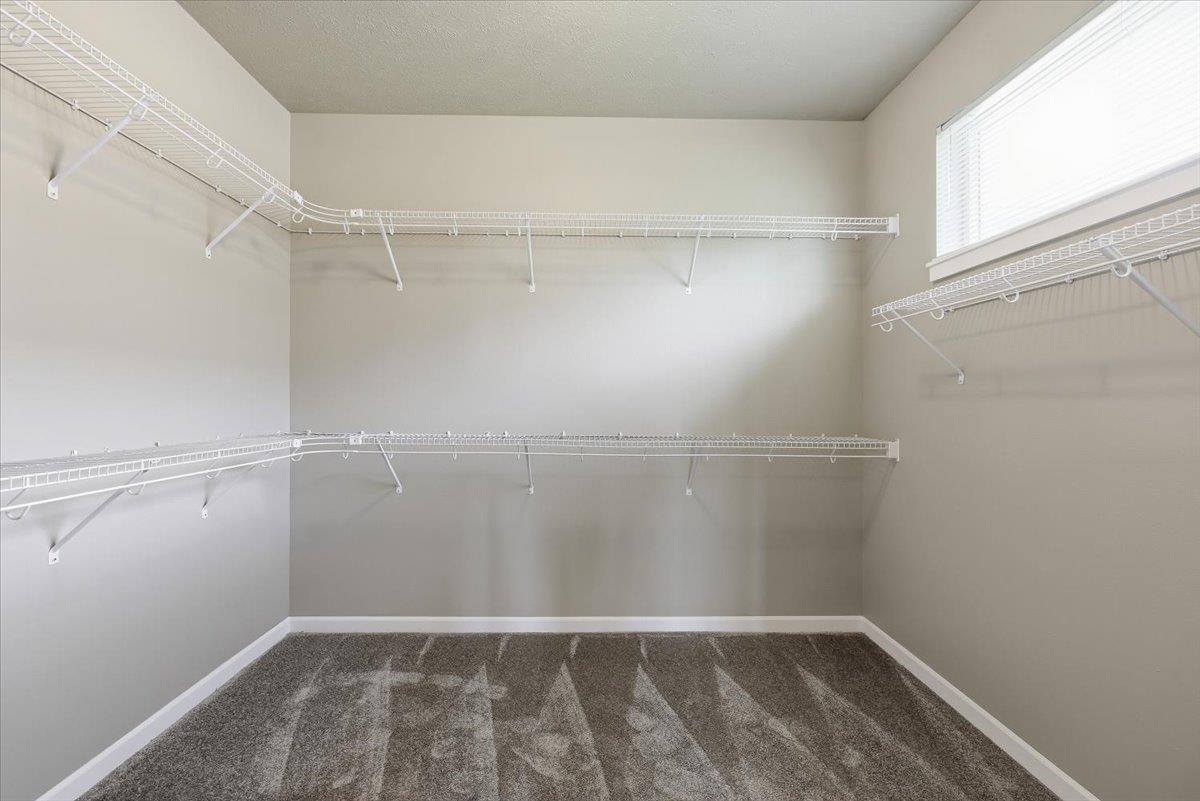 8412 N Summerhill Ln - Photo 12