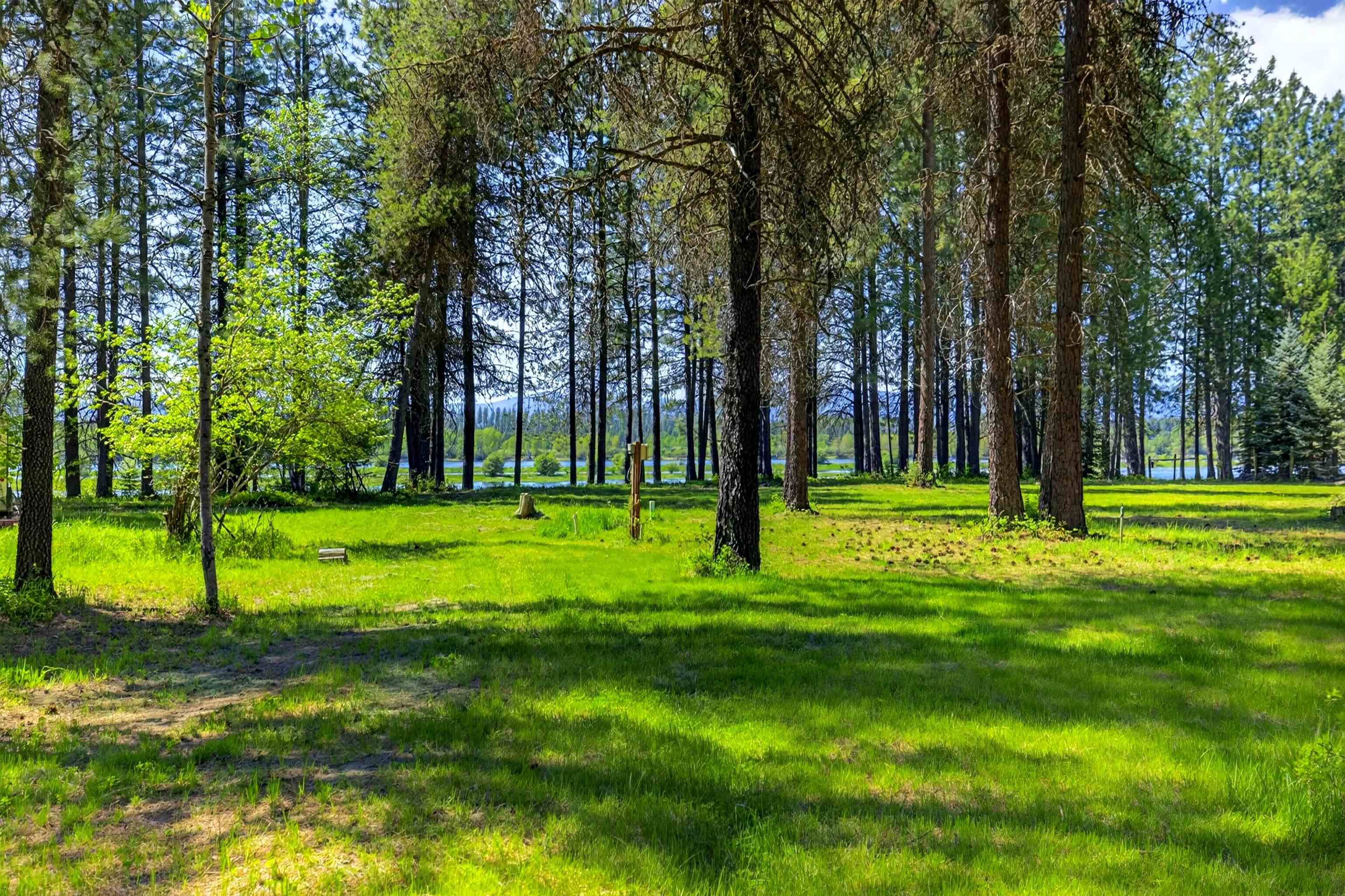 272 Robin Rd - Photo 8