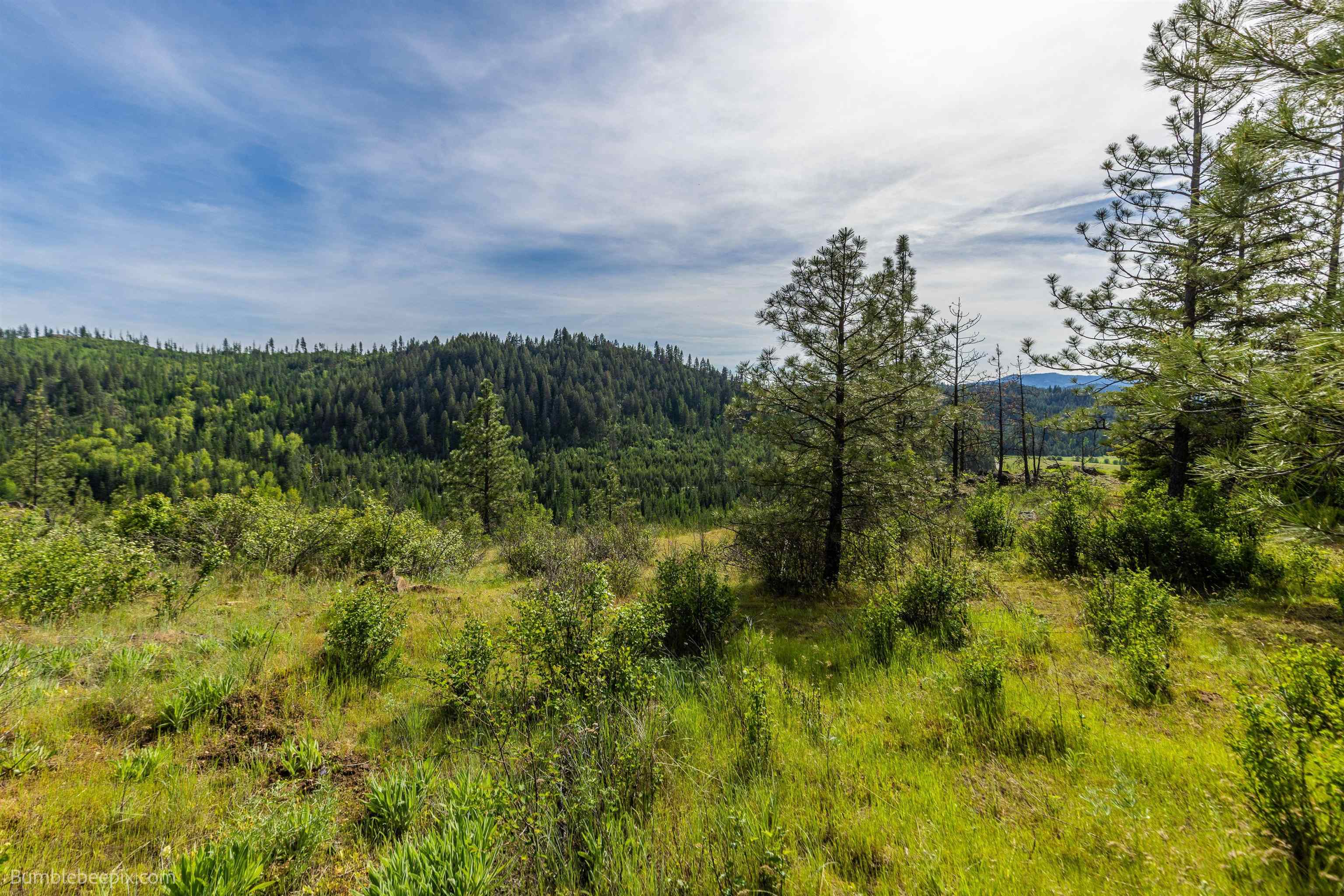 325 Castle Rock Dr - Photo 30