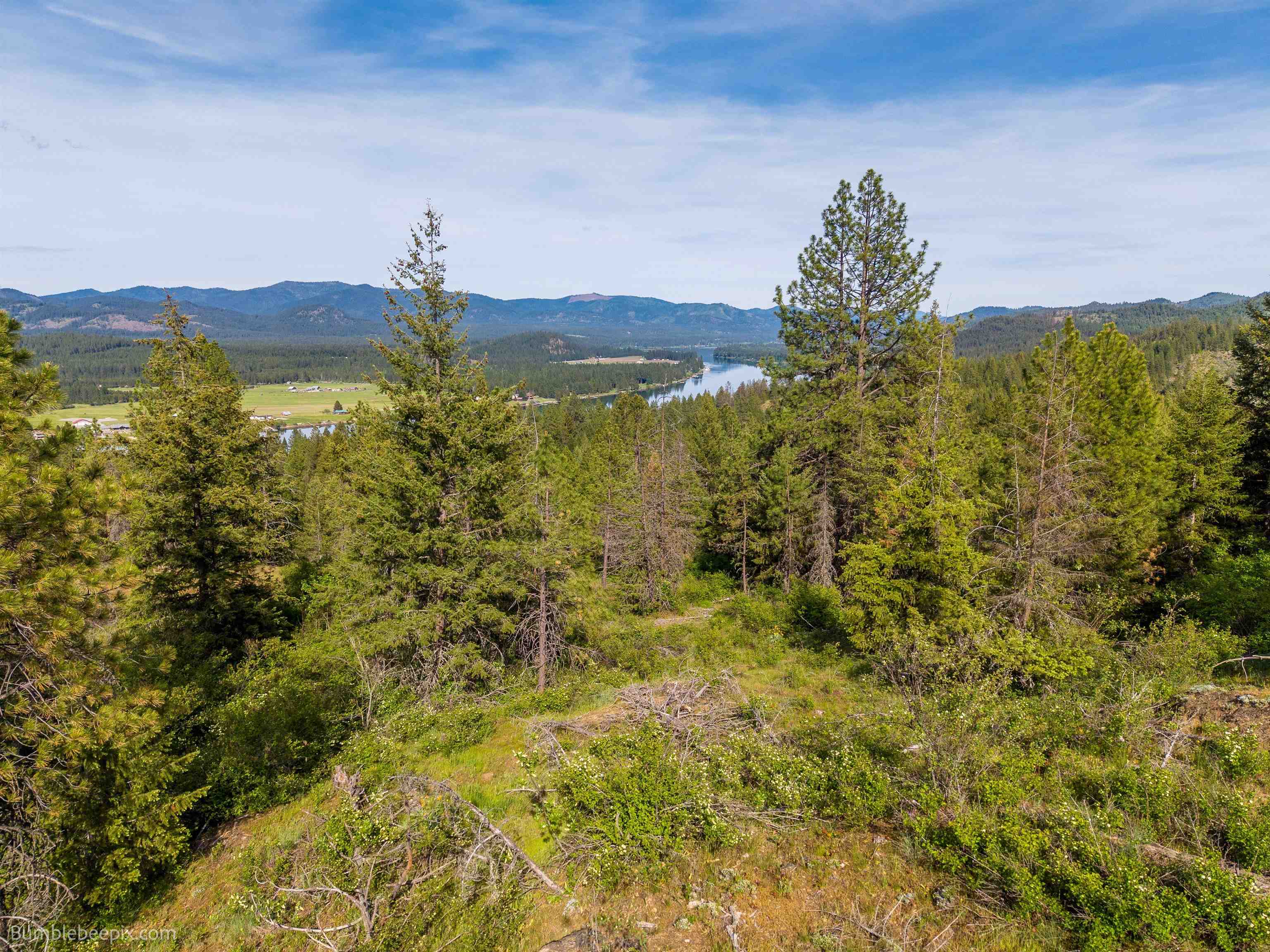 325 Castle Rock Dr - Photo 39