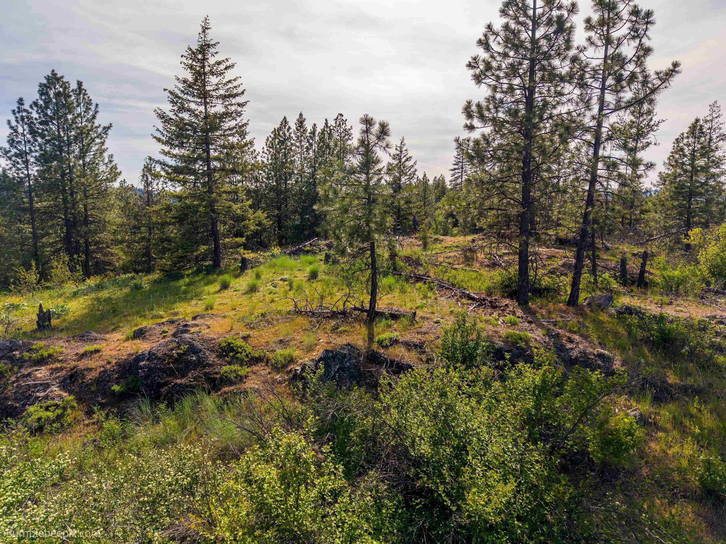 325 Castle Rock Dr - Photo 40