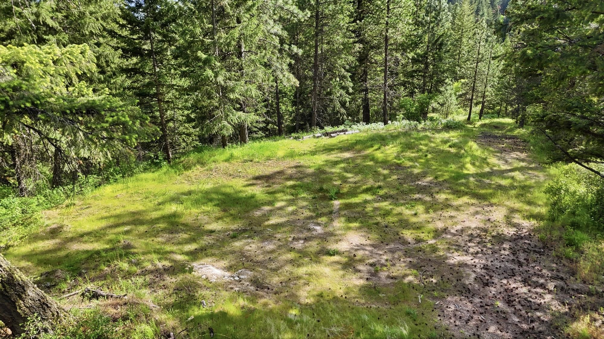 15727 N Koth Rd - Photo 13
