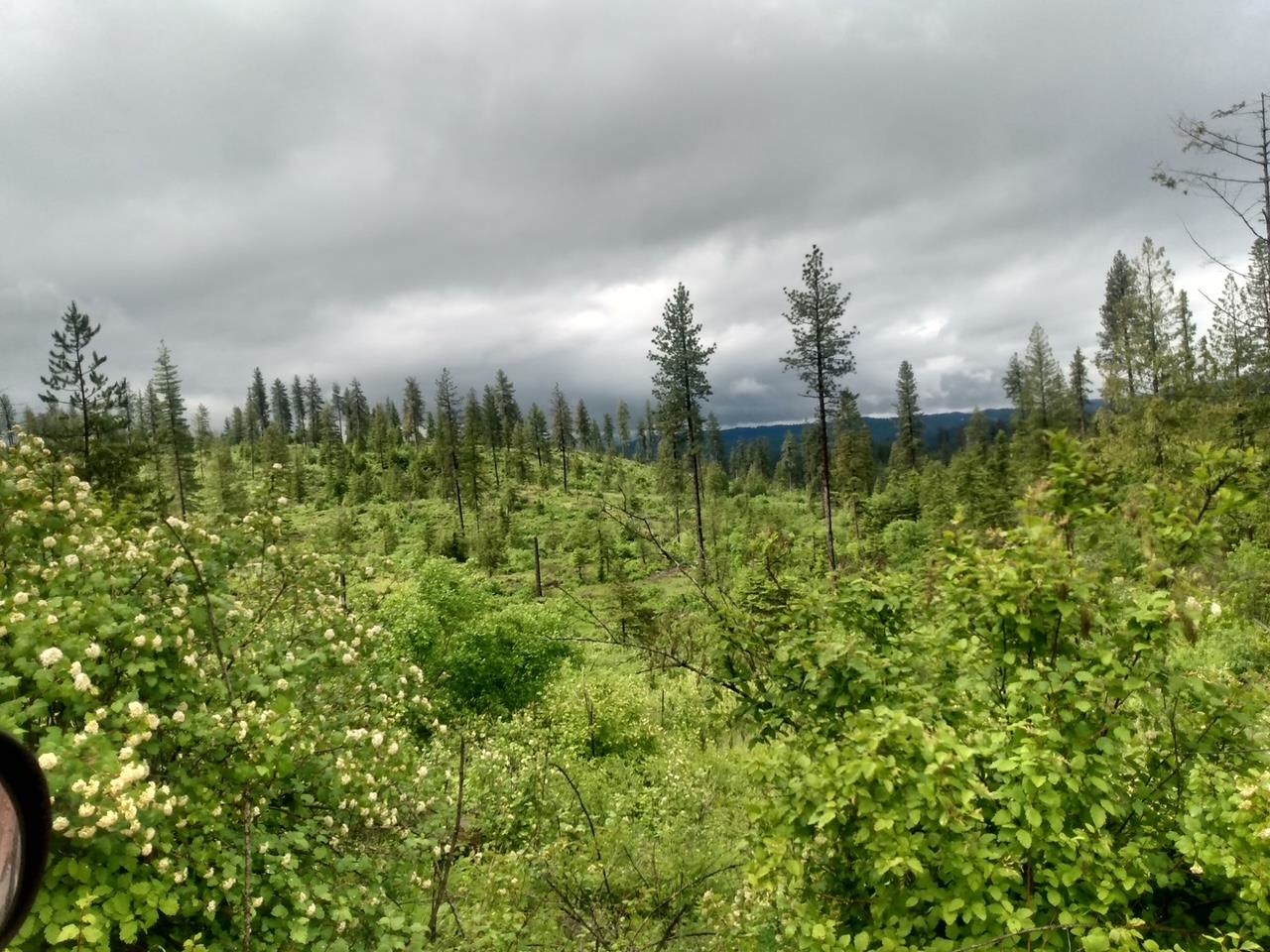 15727 N Koth Rd - Photo 17