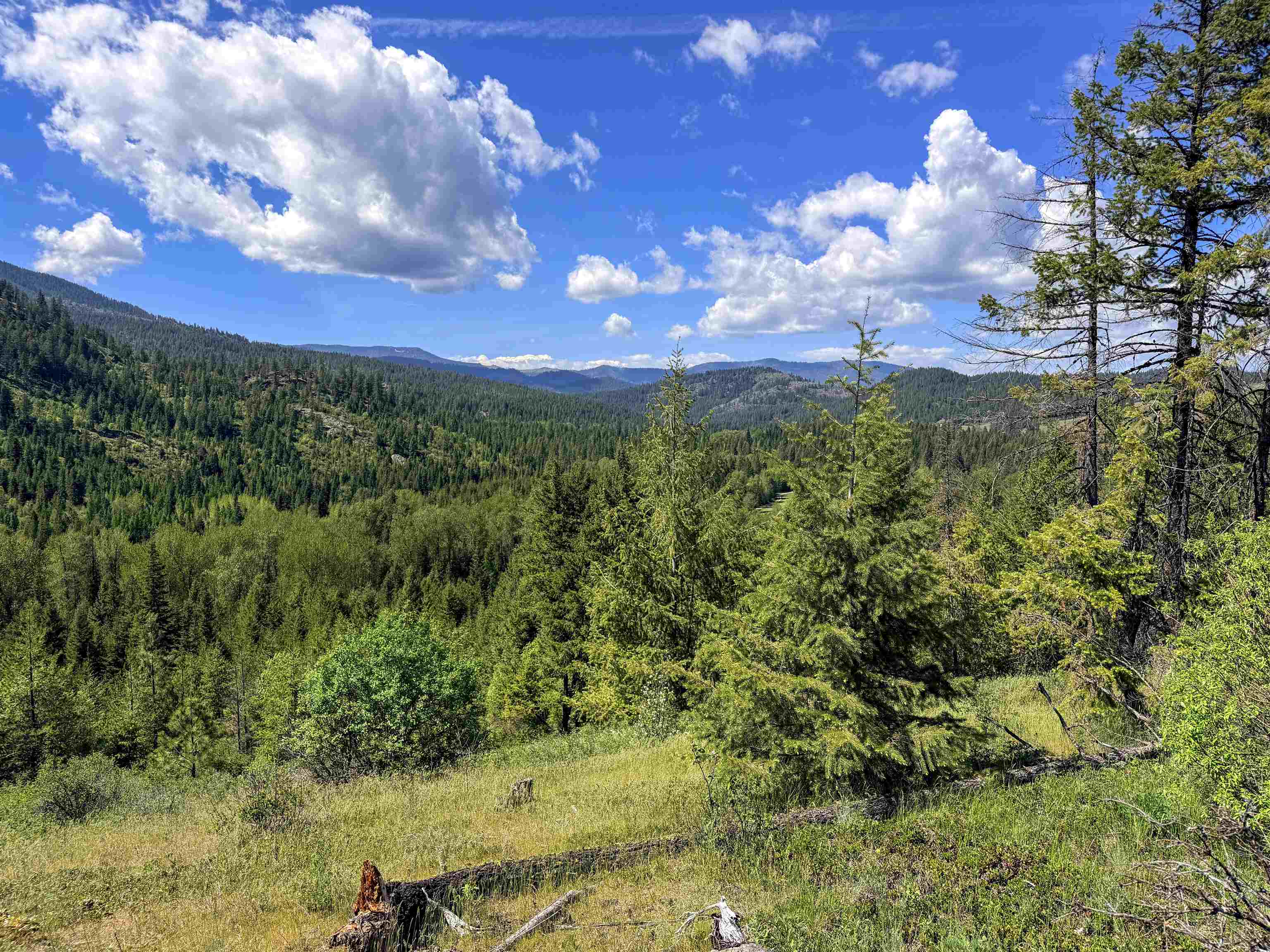 3499-TBD Waitts Lake South Rd - Photo 2