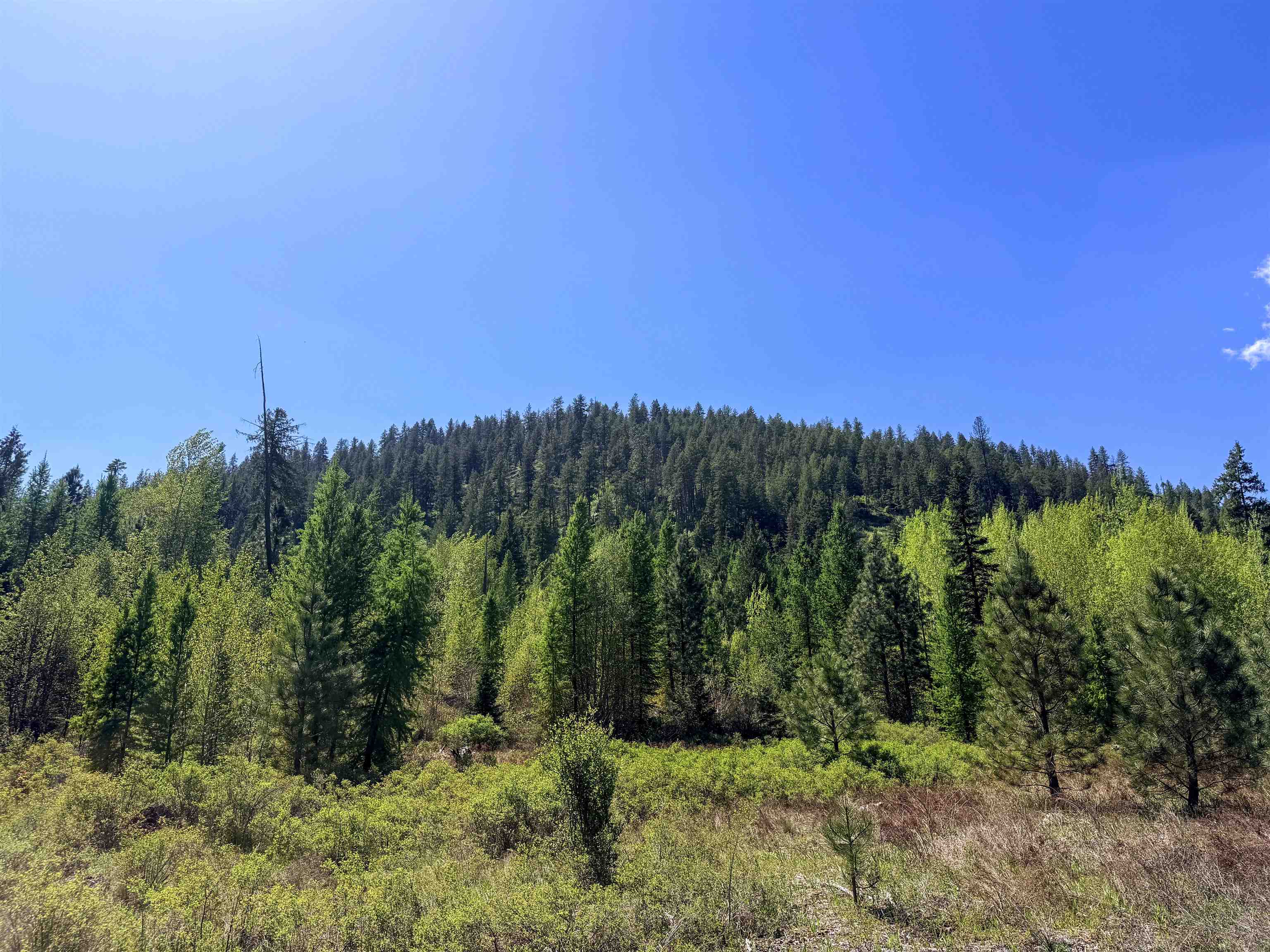 3499-TBD Waitts Lake South Rd - Photo 11