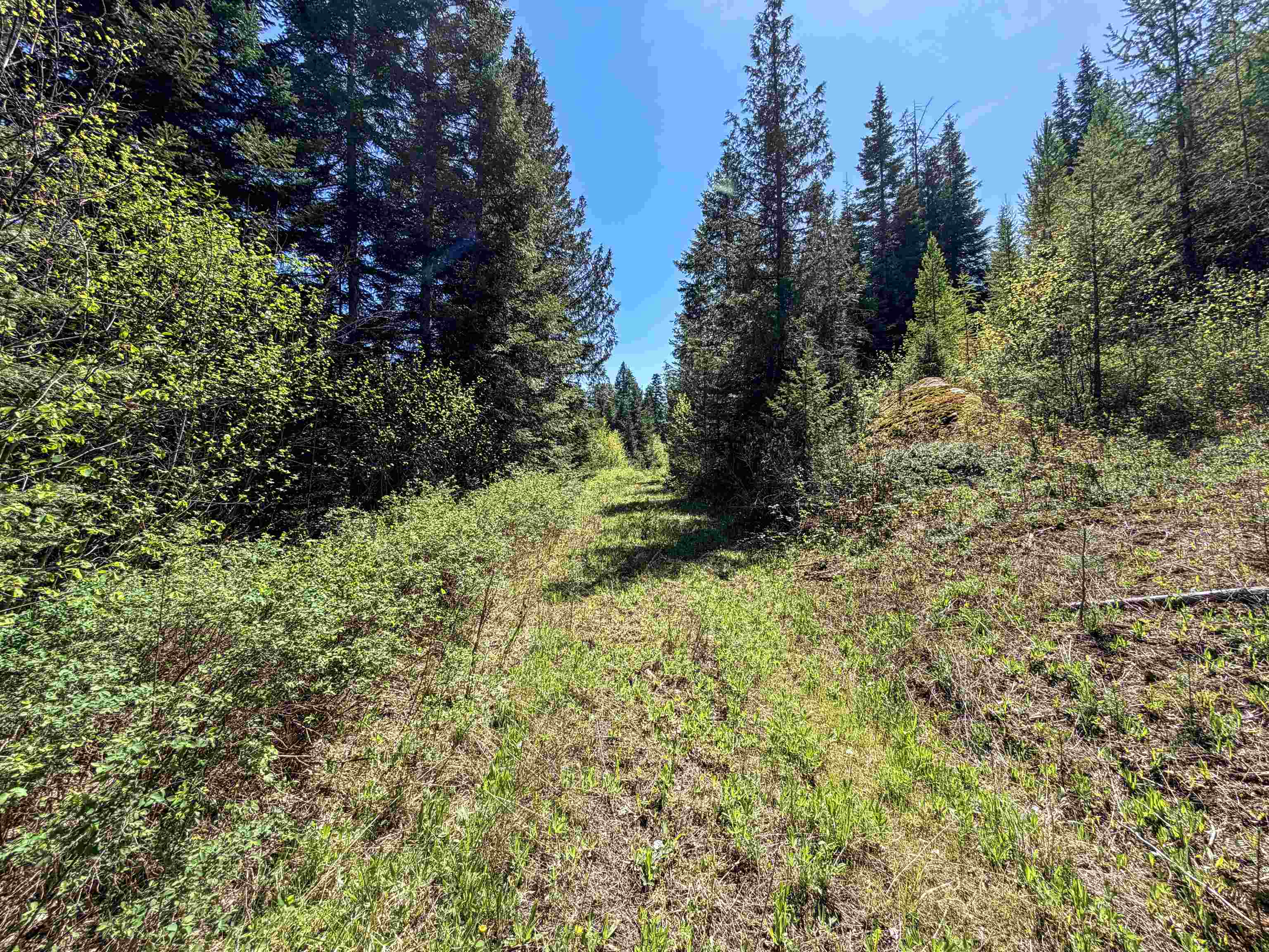 3499-TBD Waitts Lake South Rd - Photo 12