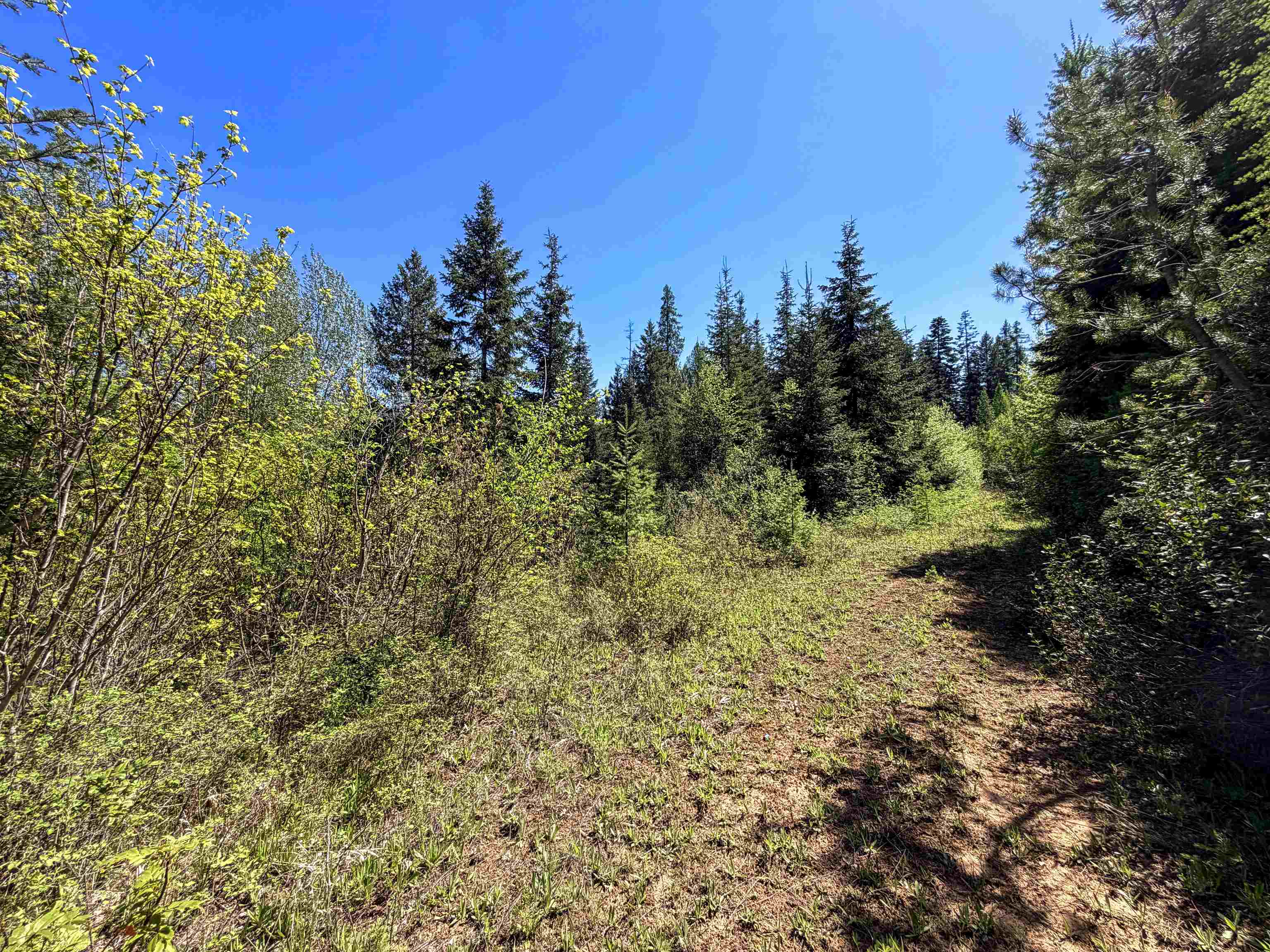 3499-TBD Waitts Lake South Rd - Photo 13
