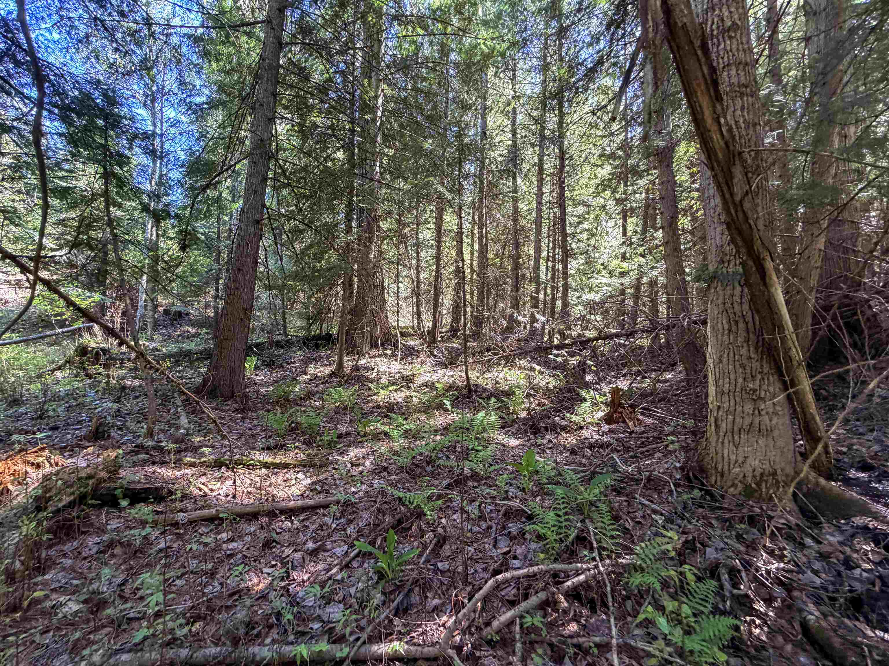 3499-TBD Waitts Lake South Rd - Photo 16