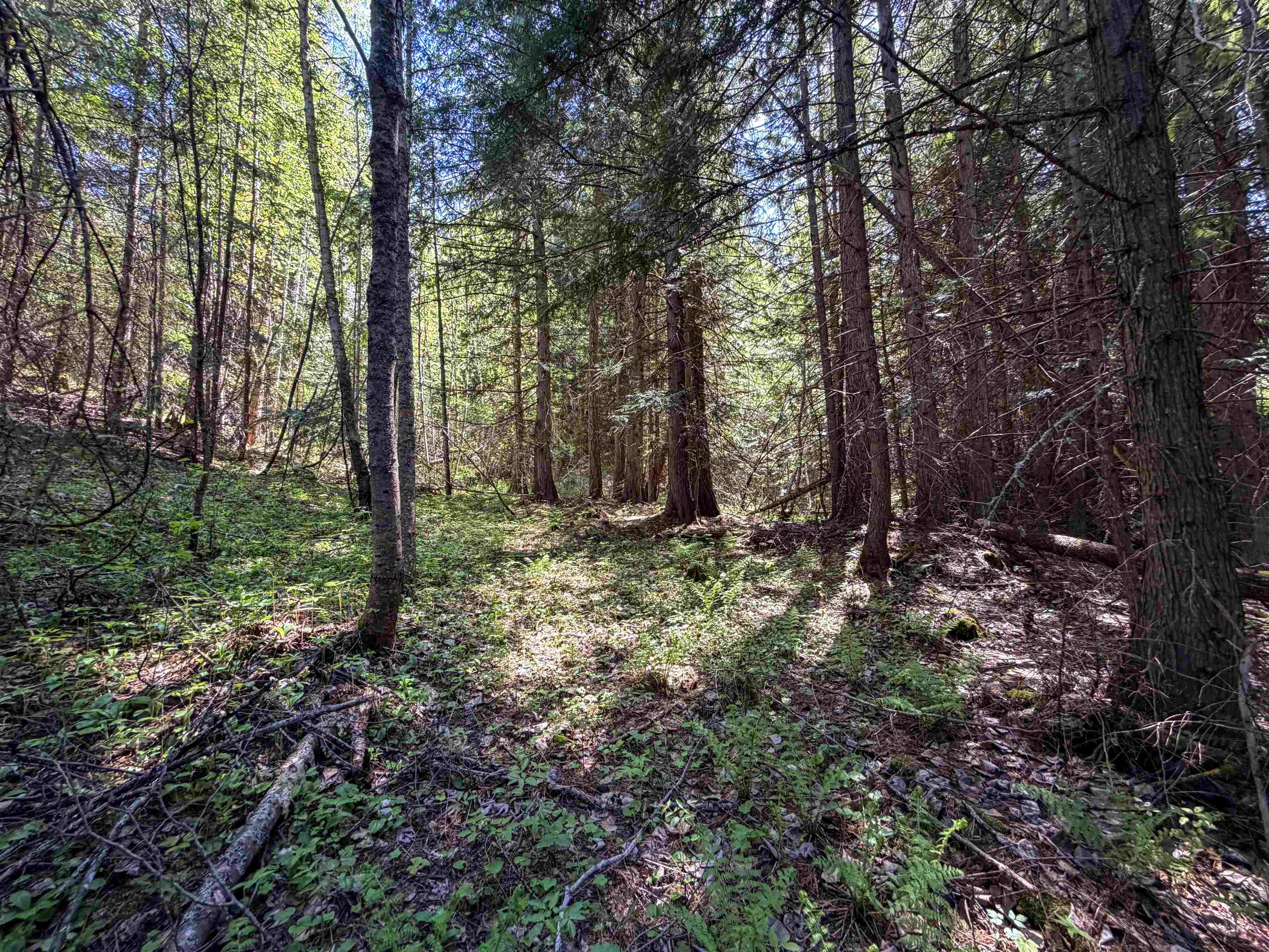 3499-TBD Waitts Lake South Rd - Photo 18