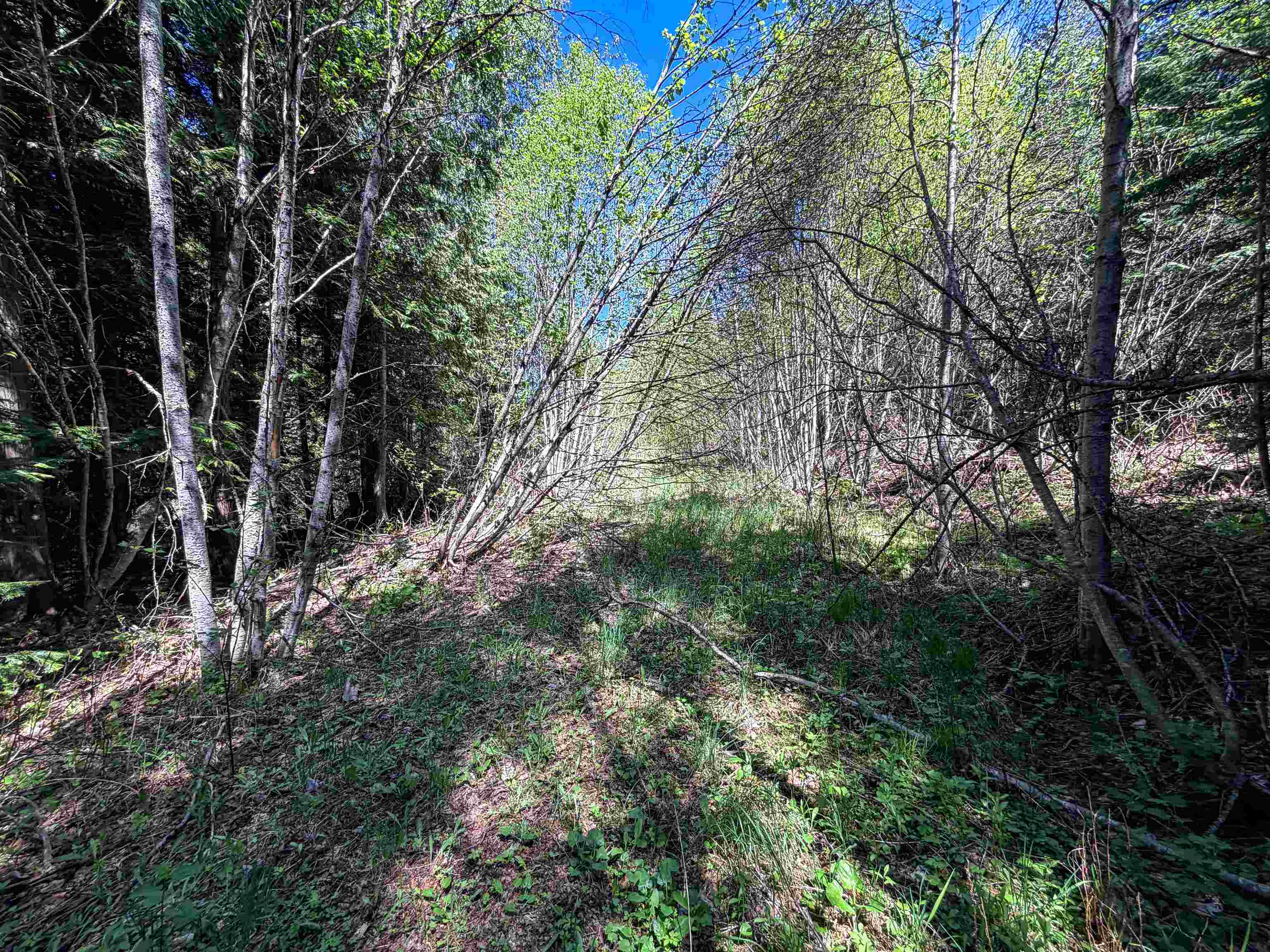 3499-TBD Waitts Lake South Rd - Photo 19