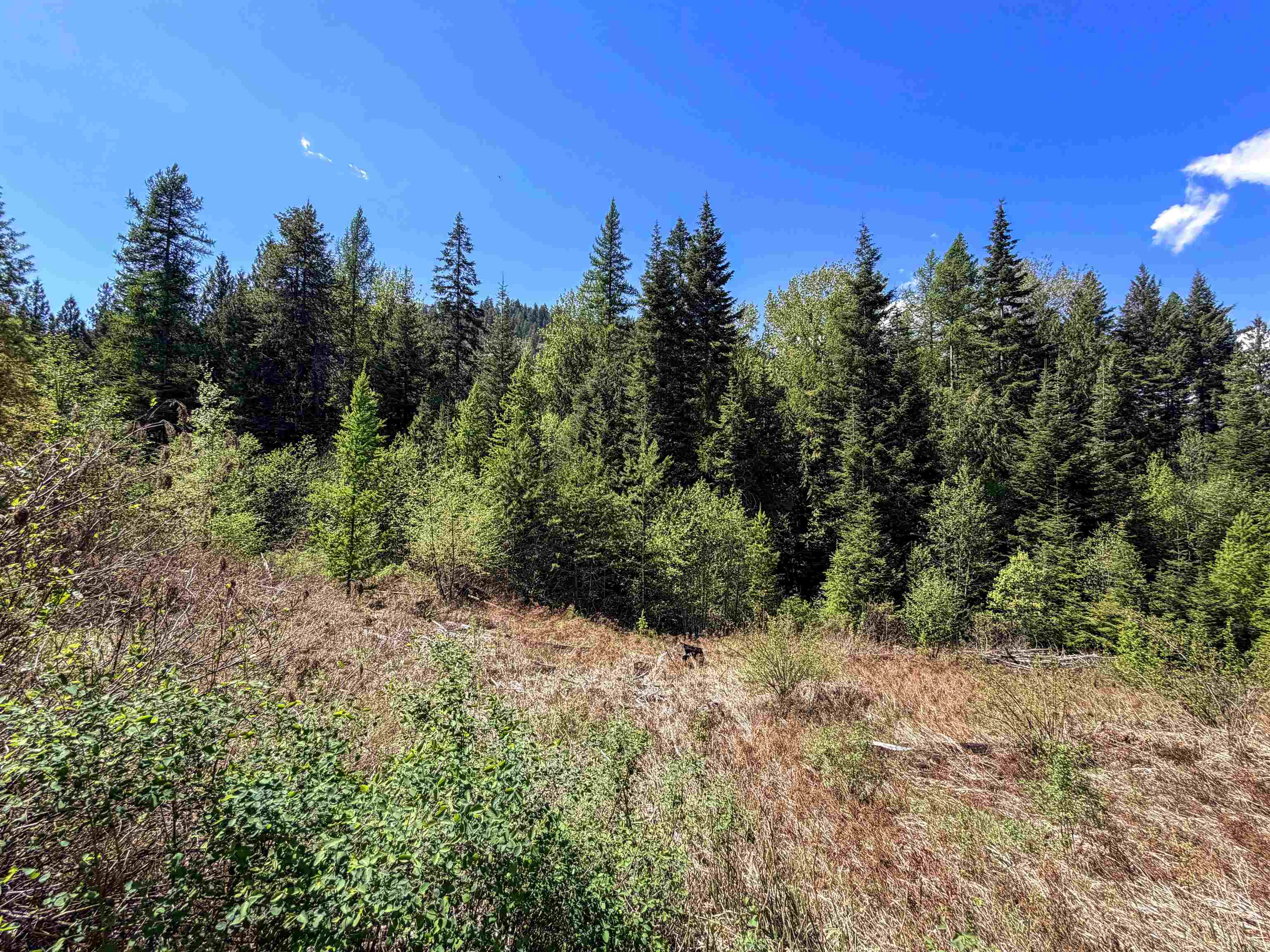 3499-TBD Waitts Lake South Rd - Photo 20
