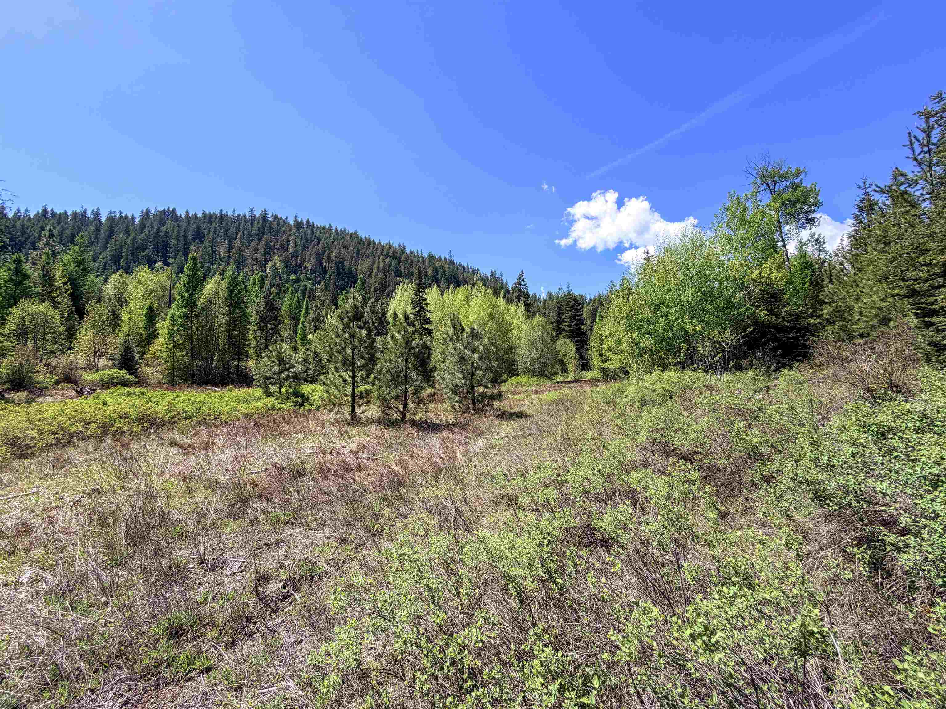 3499-TBD Waitts Lake South Rd - Photo 3