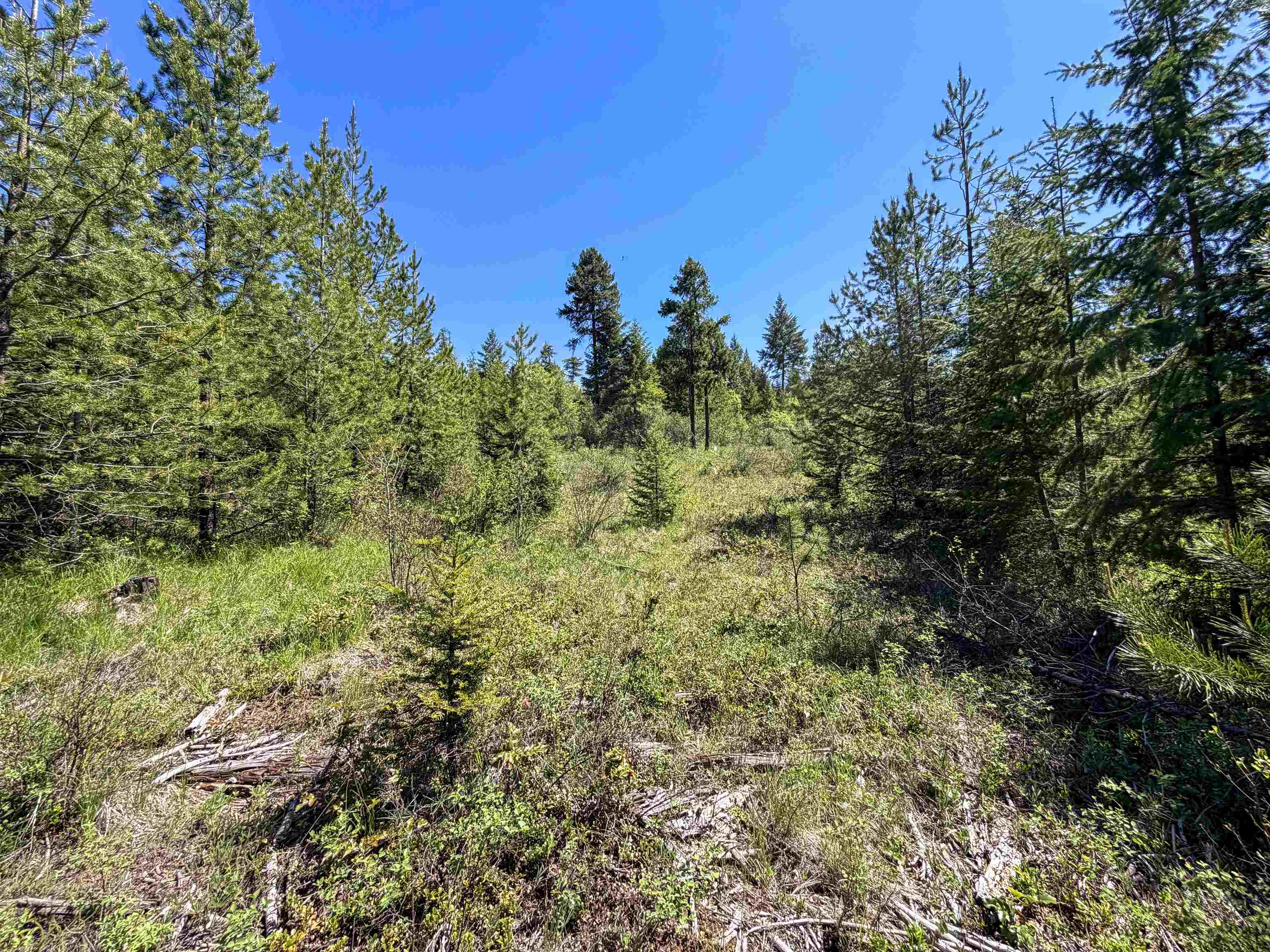 3499-TBD Waitts Lake South Rd - Photo 21