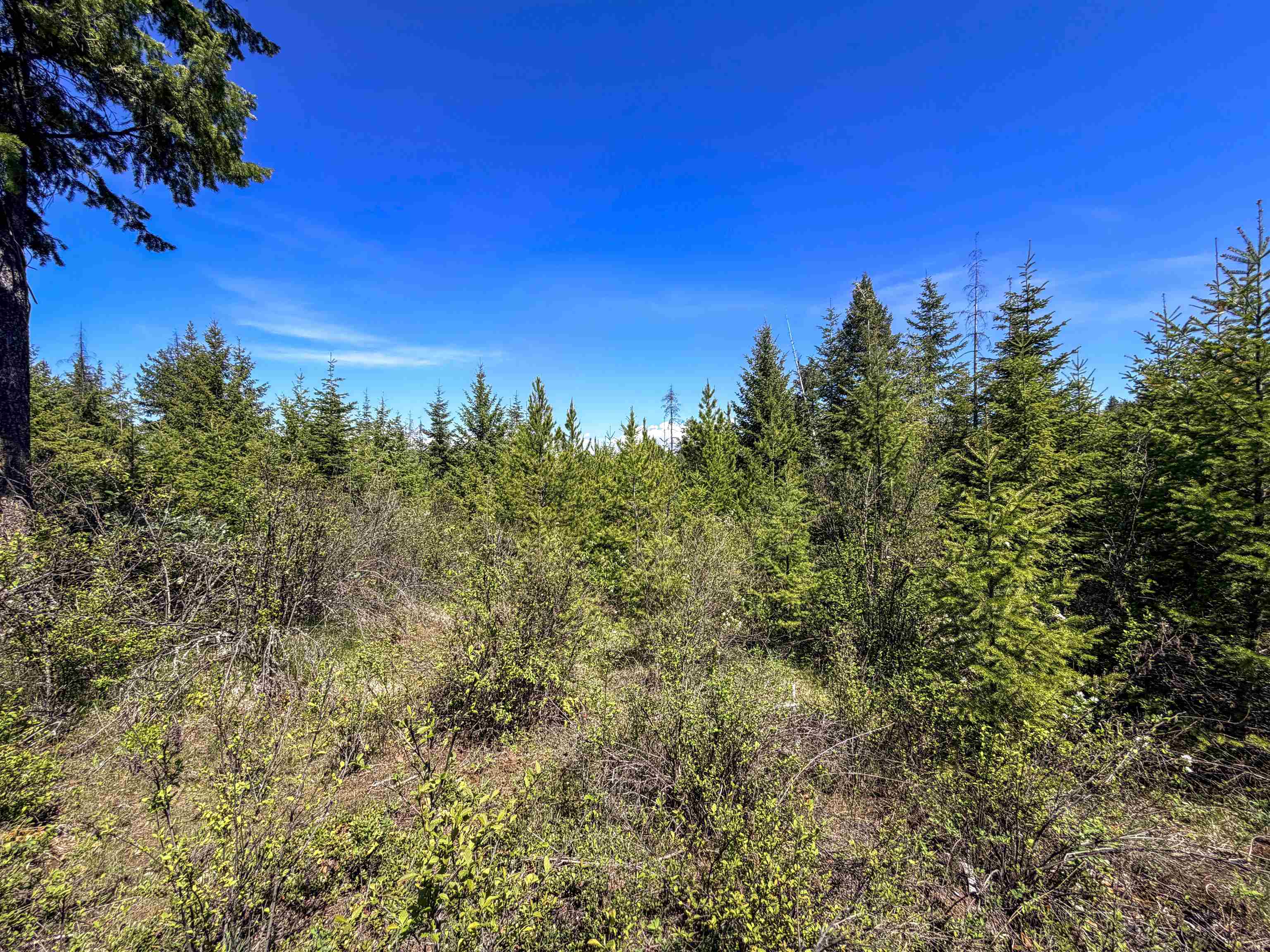 3499-TBD Waitts Lake South Rd - Photo 23
