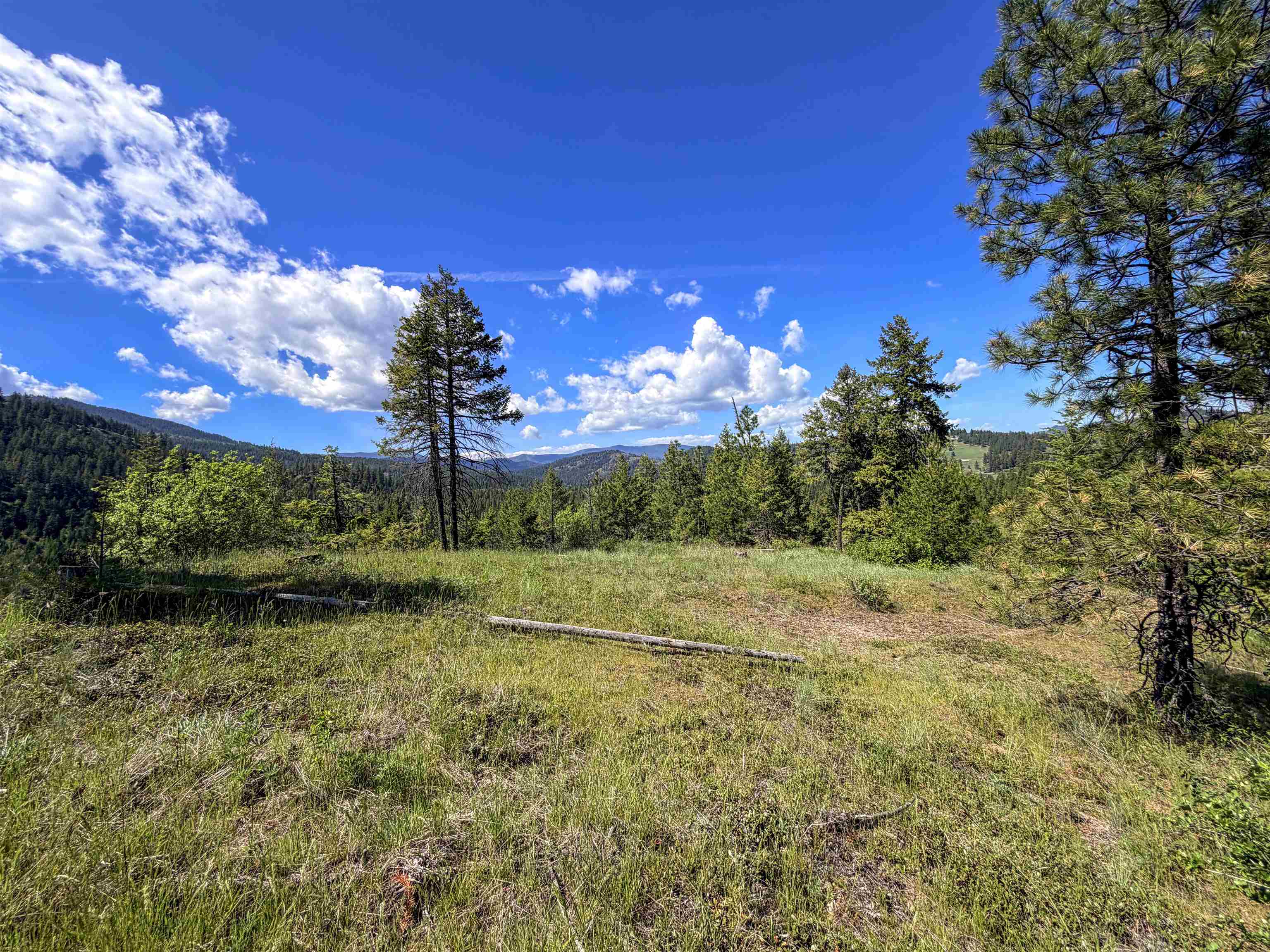 3499-TBD Waitts Lake South Rd - Photo 24