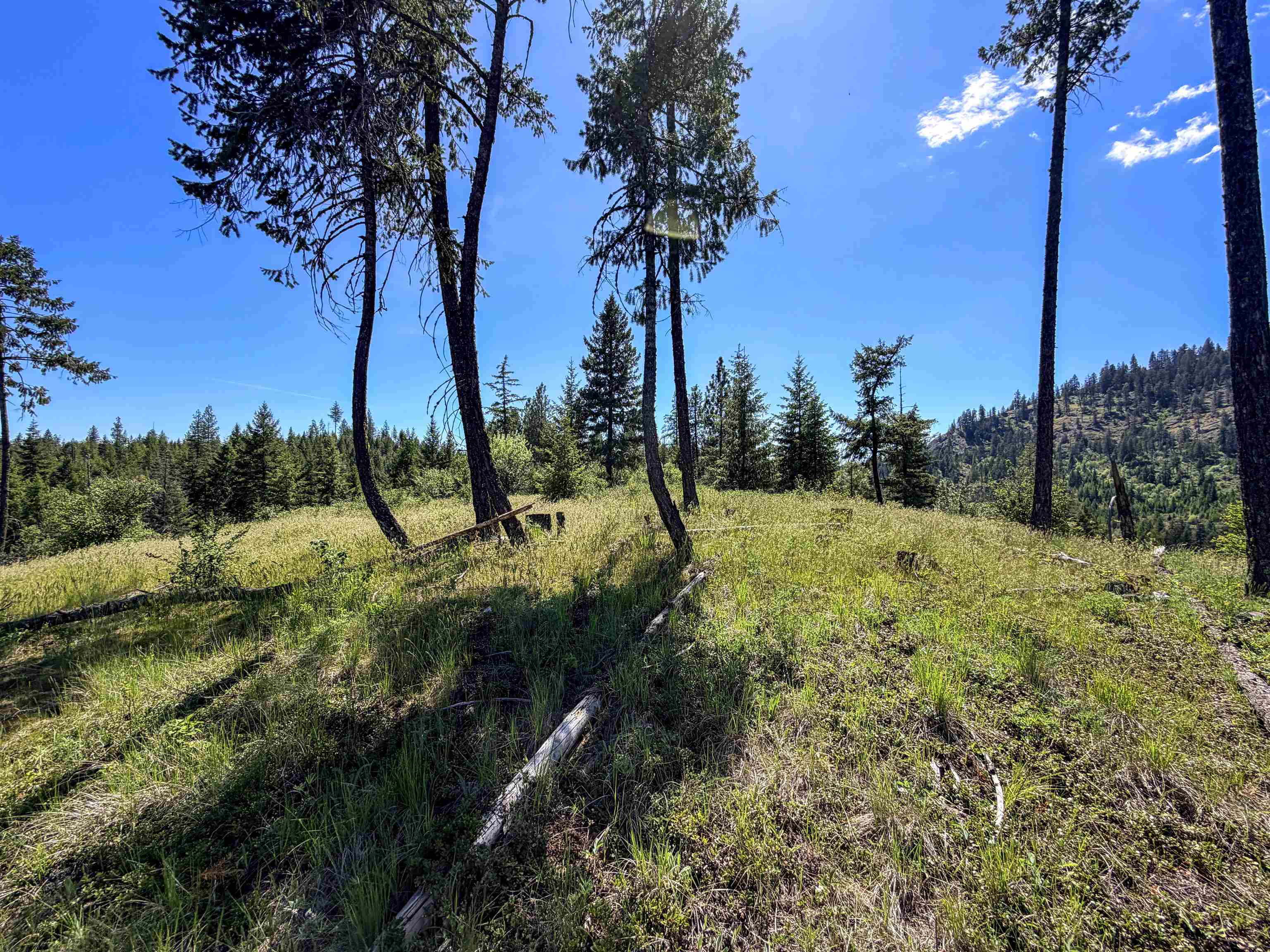 3499-TBD Waitts Lake South Rd - Photo 25
