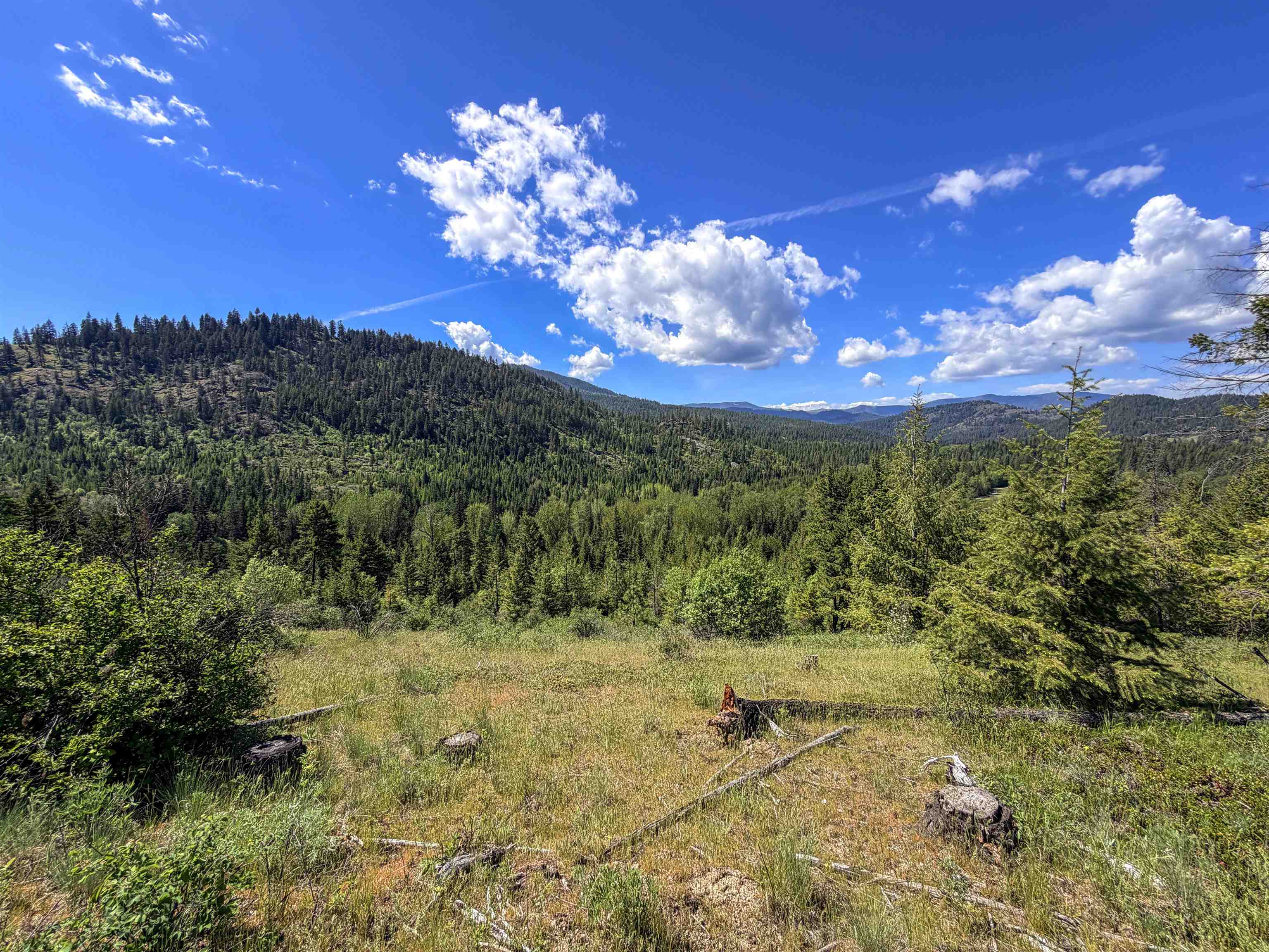 3499-TBD Waitts Lake South Rd - Photo 26