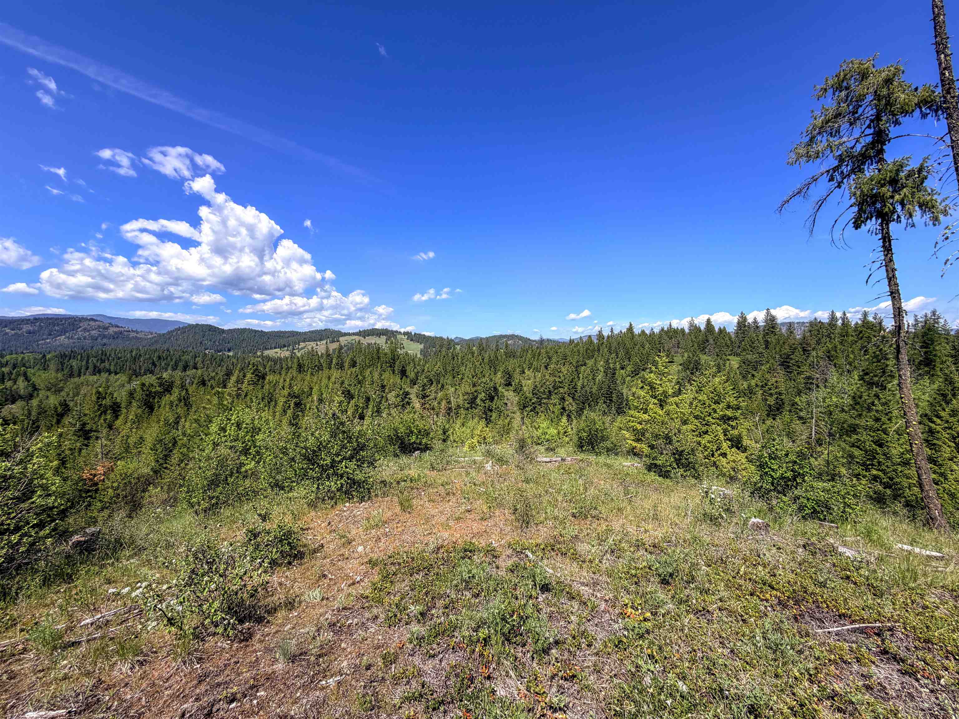 3499-TBD Waitts Lake South Rd - Photo 27