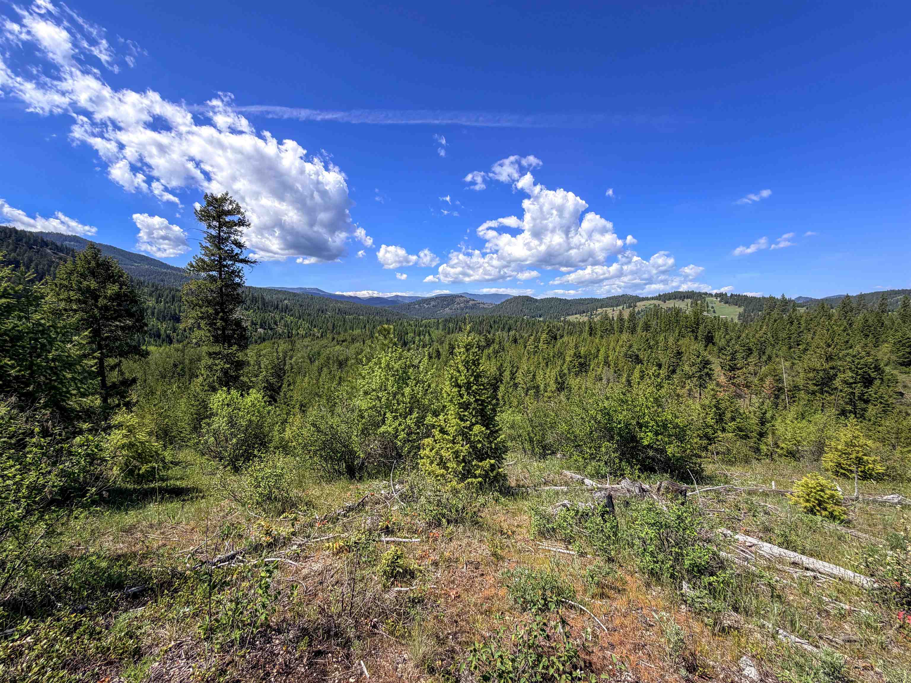 3499-TBD Waitts Lake South Rd - Photo 28