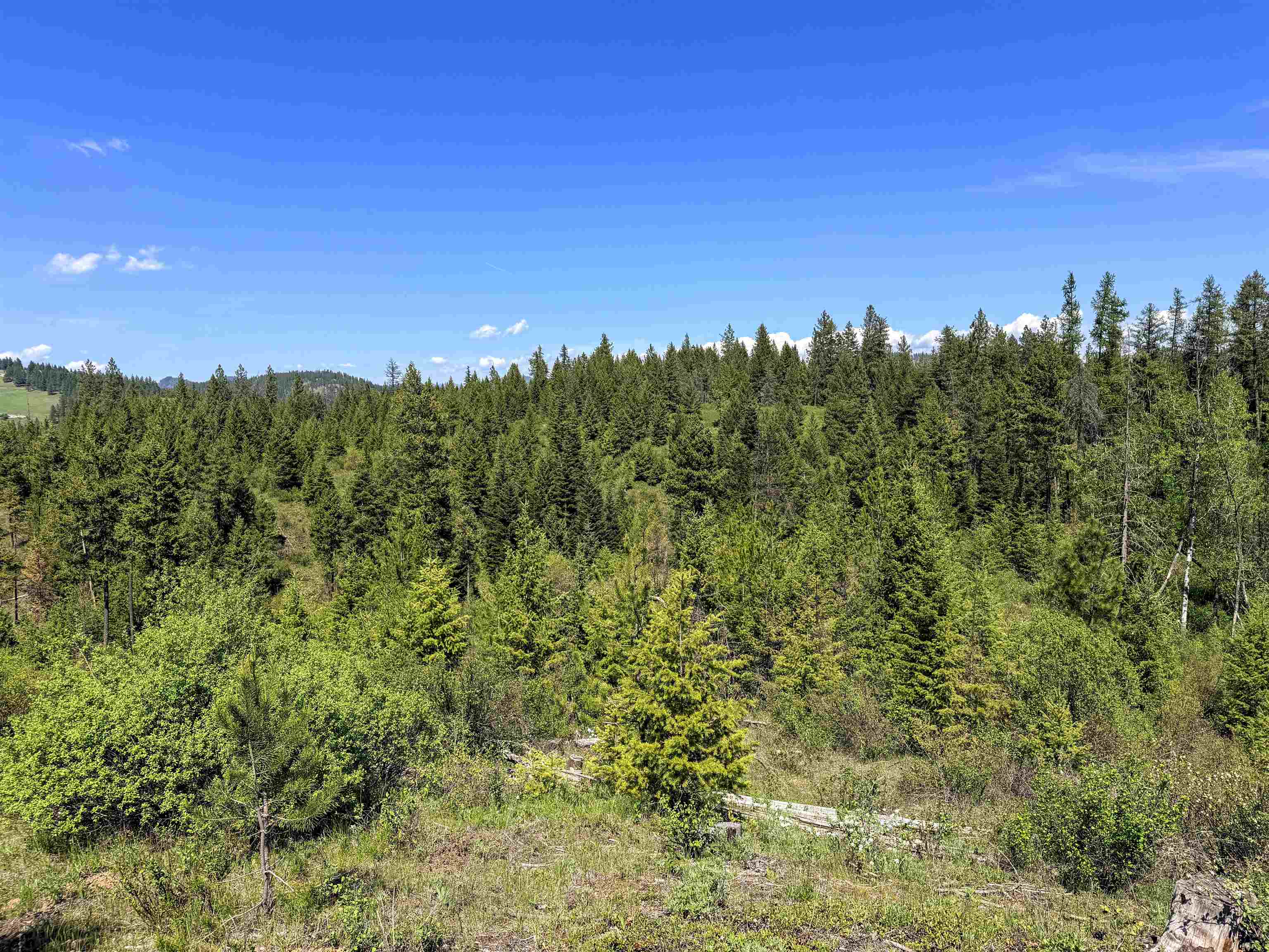 3499-TBD Waitts Lake South Rd - Photo 29