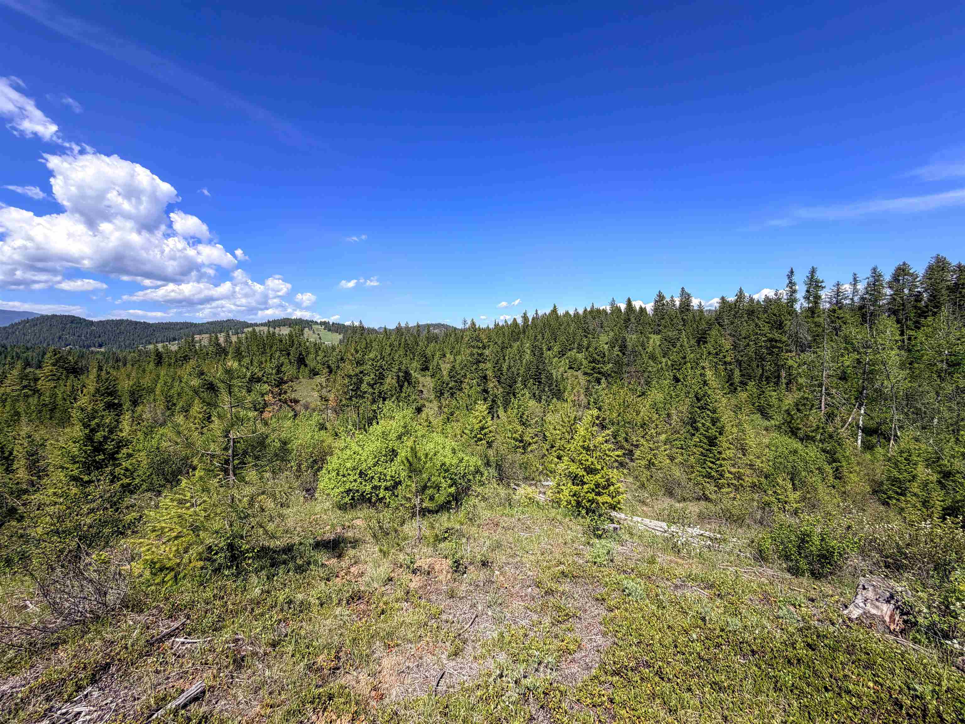3499-TBD Waitts Lake South Rd - Photo 30