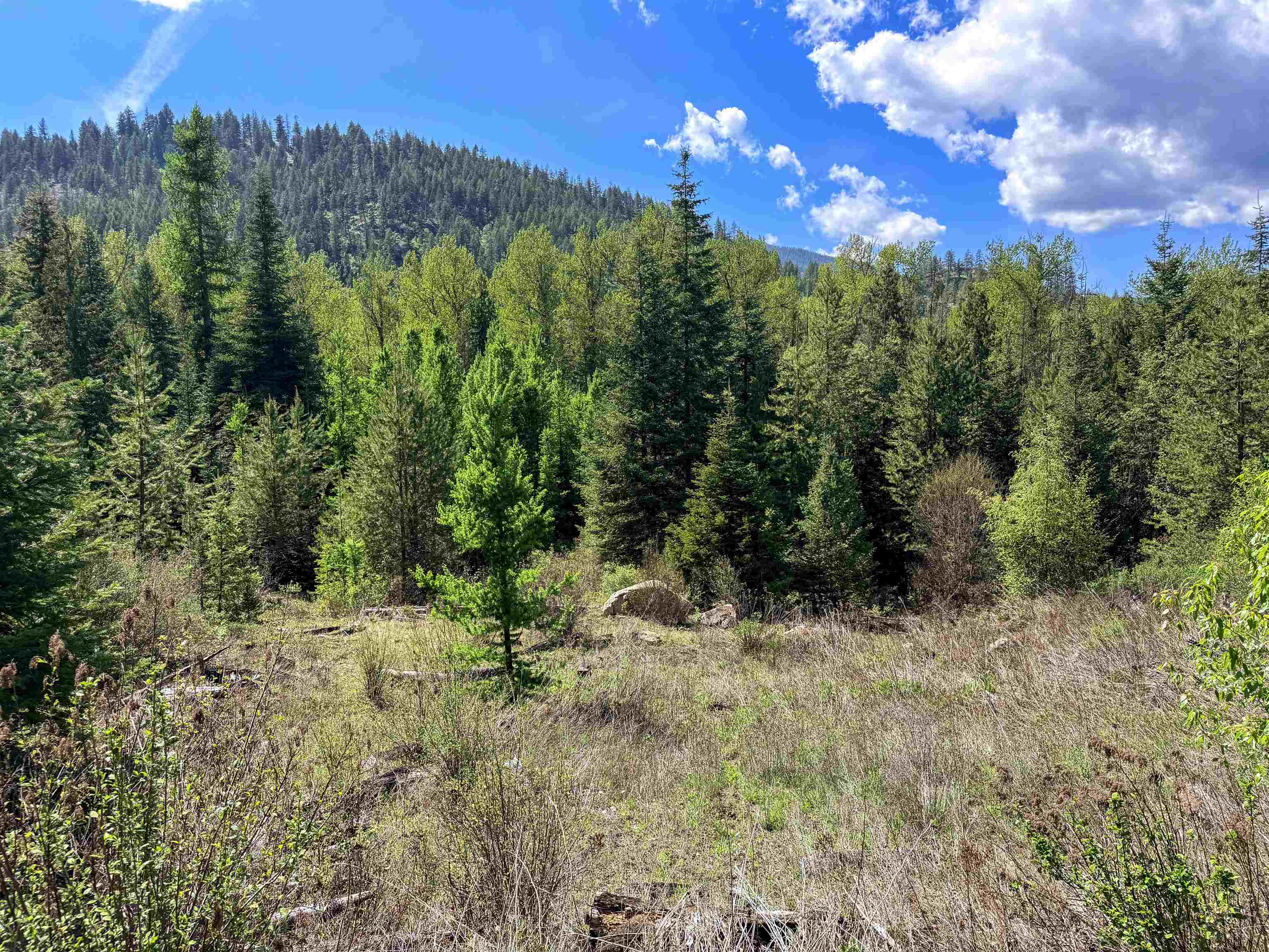 3499-TBD Waitts Lake South Rd - Photo 31