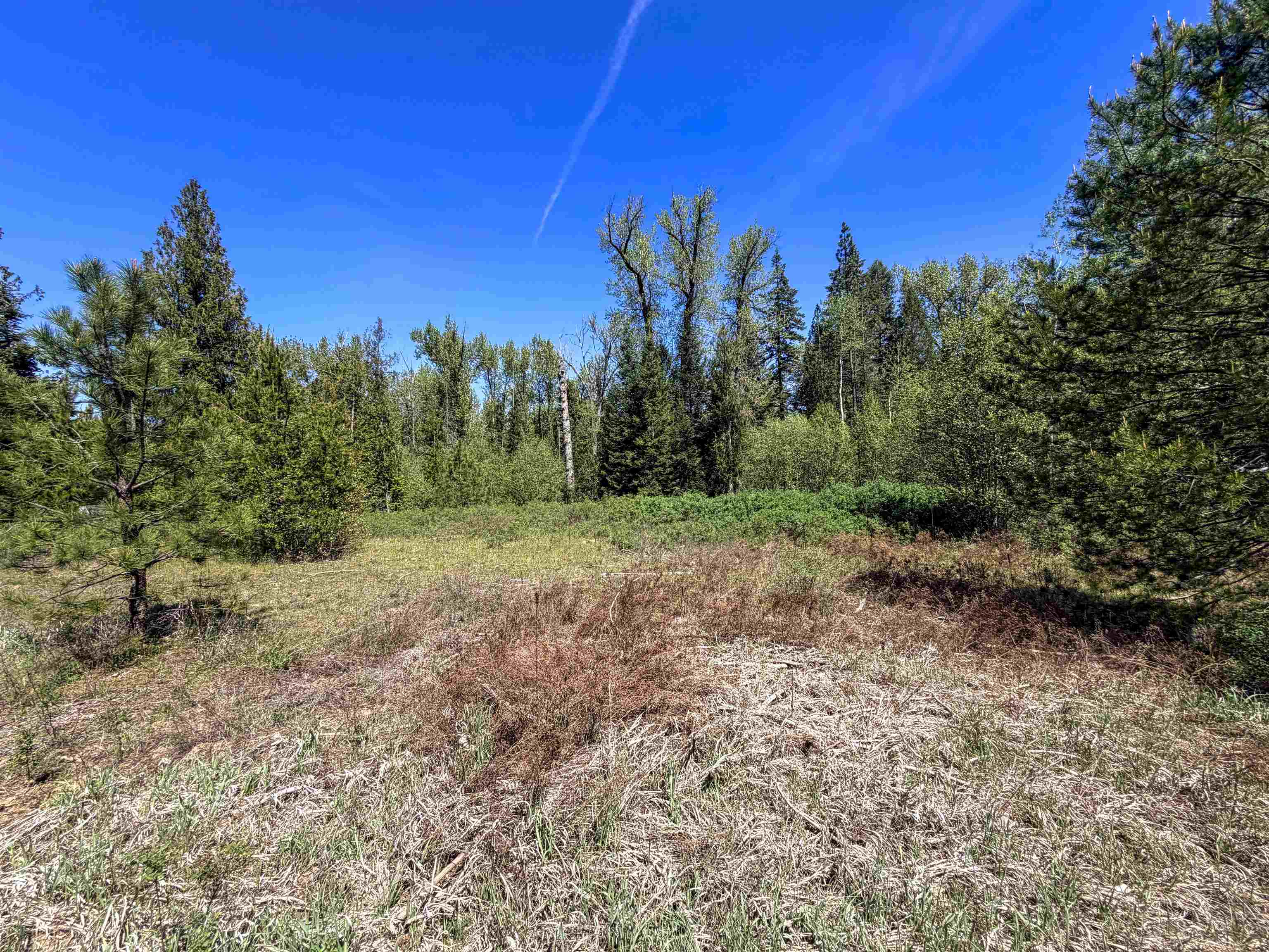 3499-TBD Waitts Lake South Rd - Photo 10