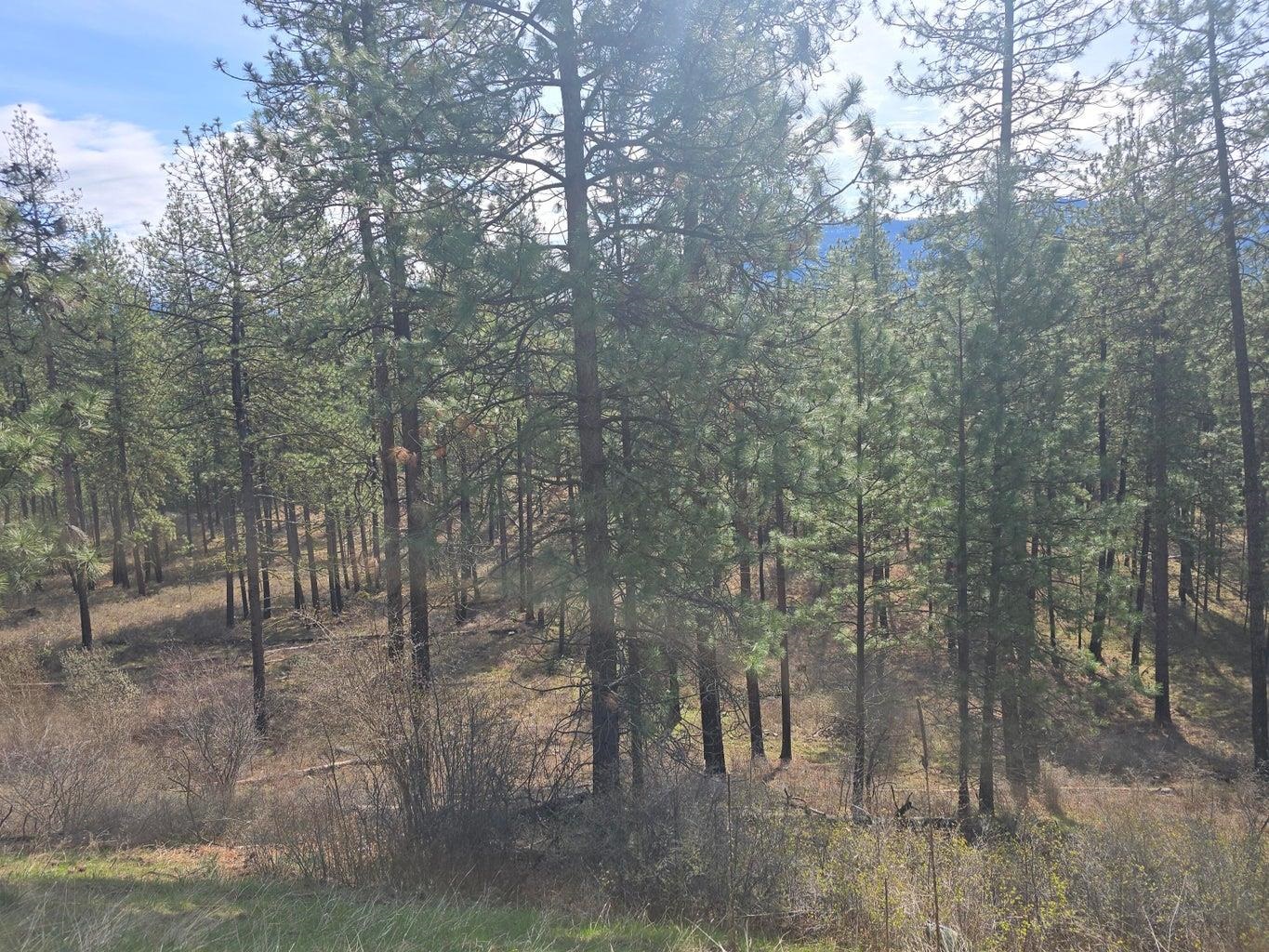 35xx Northport Flat Creek Rd - Photo 6