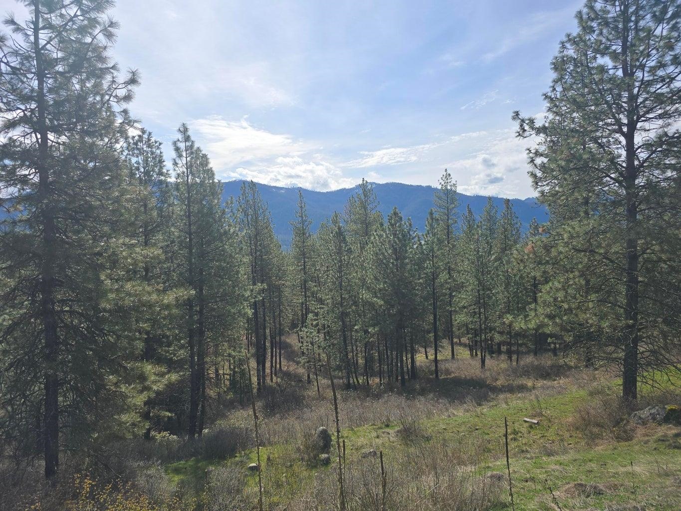 35xx Northport Flat Creek Rd - Photo 8