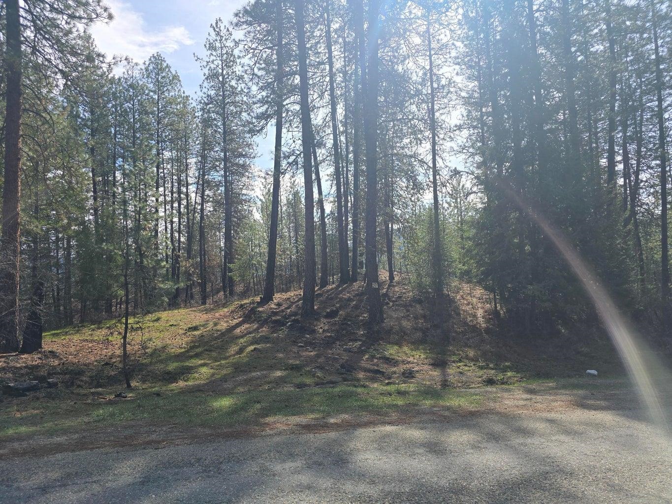 35xx Northport Flat Creek Rd - Photo 9