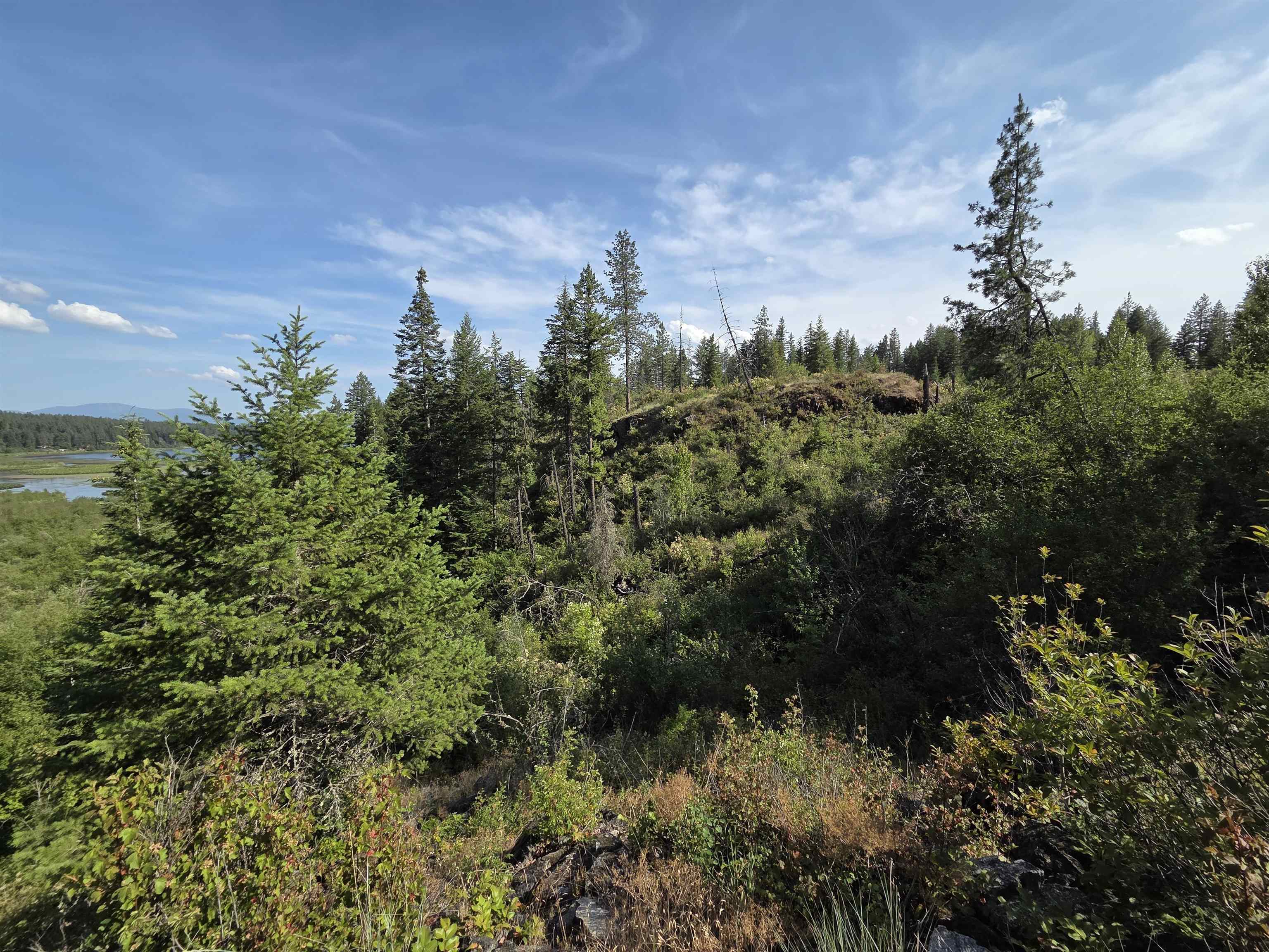 42800 N Hatch (Unassigned Address) Rd - Photo 18