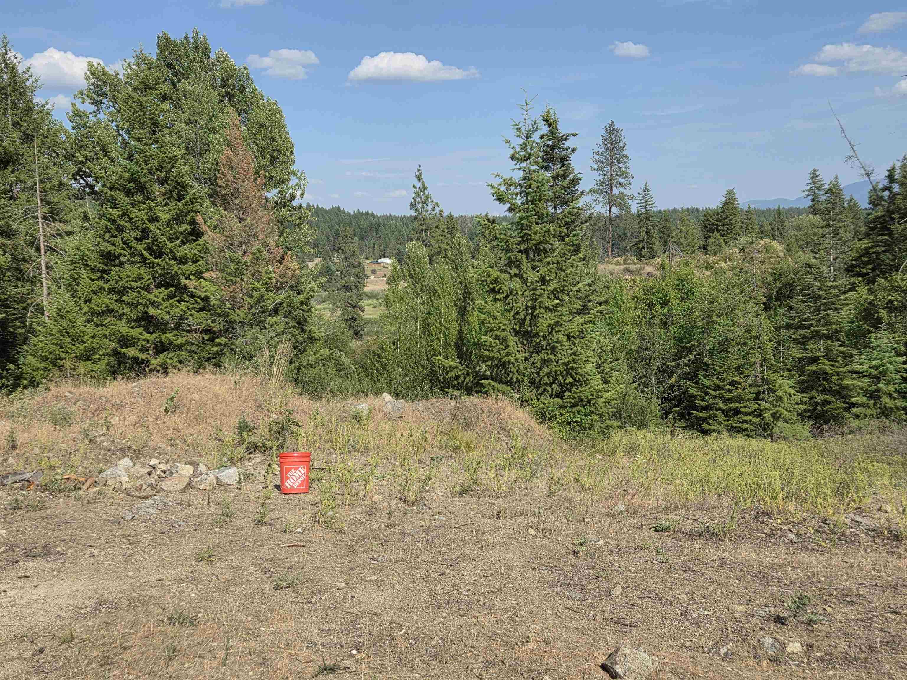 42800 N Hatch (Unassigned Address) Rd - Photo 3