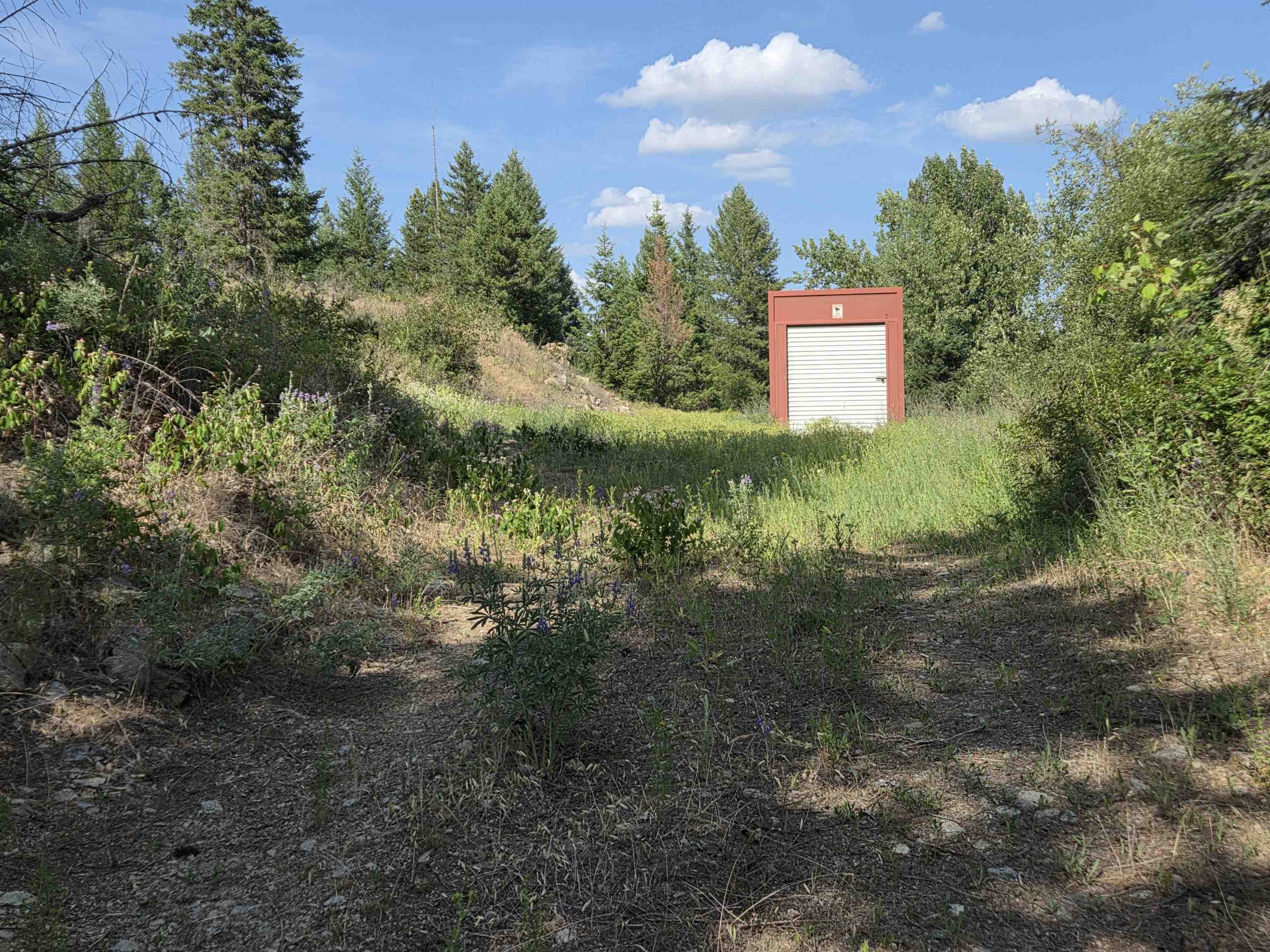 42800 N Hatch (Unassigned Address) Rd - Photo 5