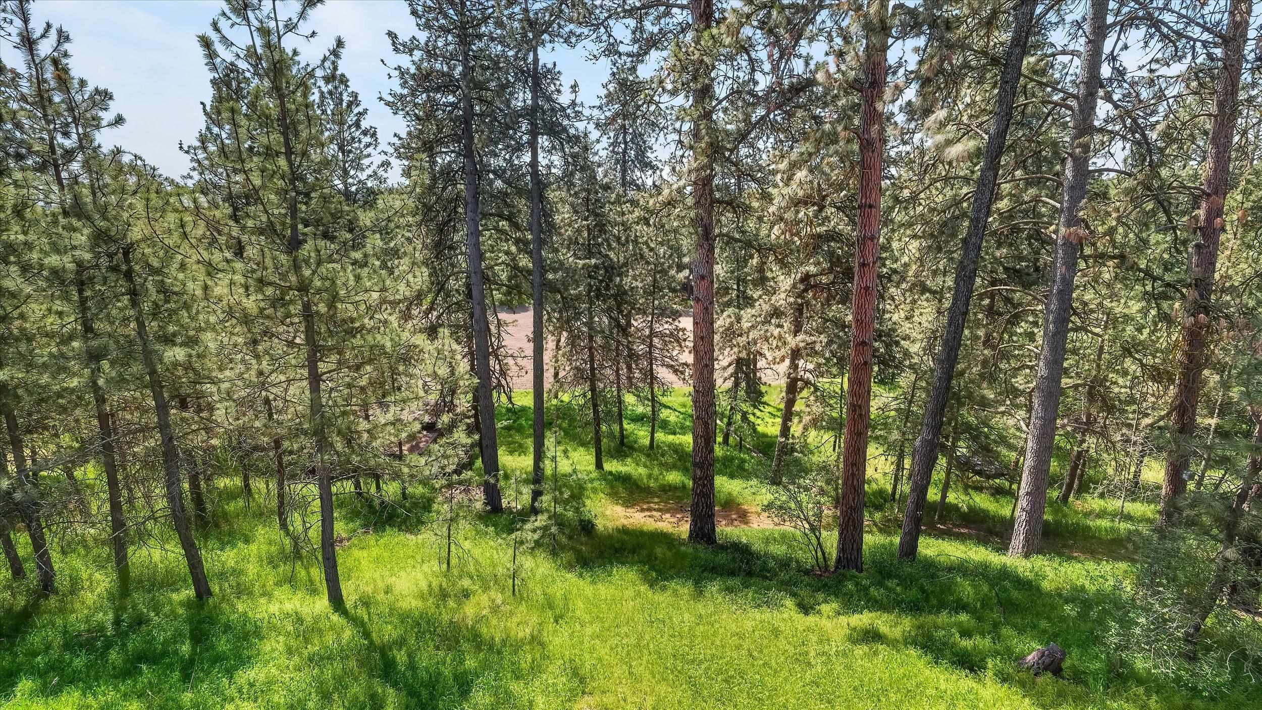 14710 E 36th Ave - Photo 38