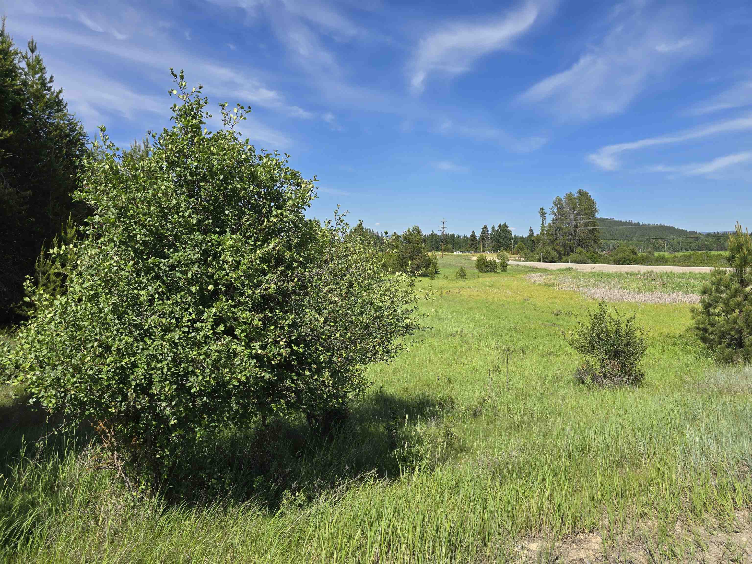 2020 Westside Calispell - Track A Rd - Photo 15