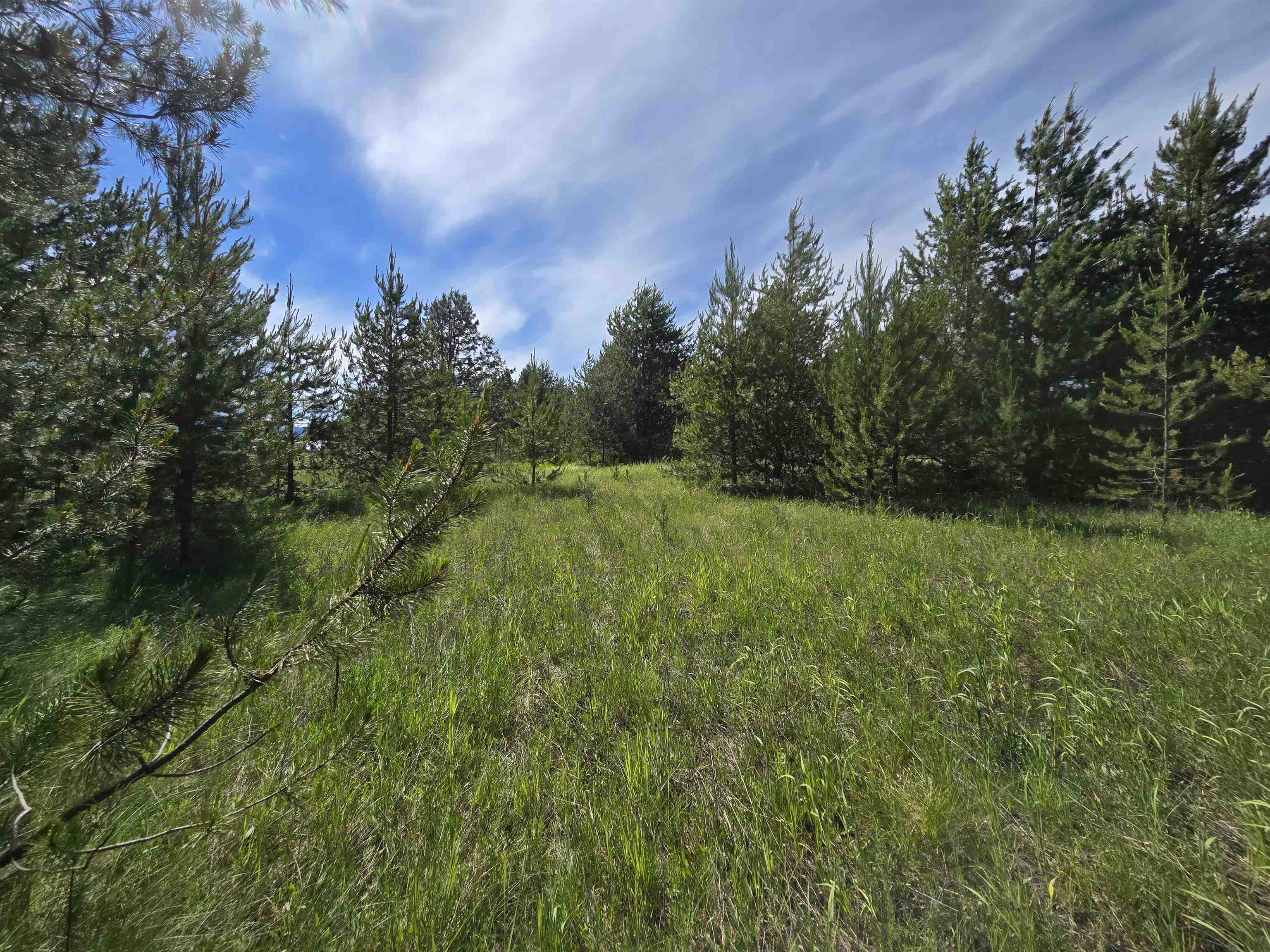 2020 Westside Calispell - Track A Rd - Photo 18