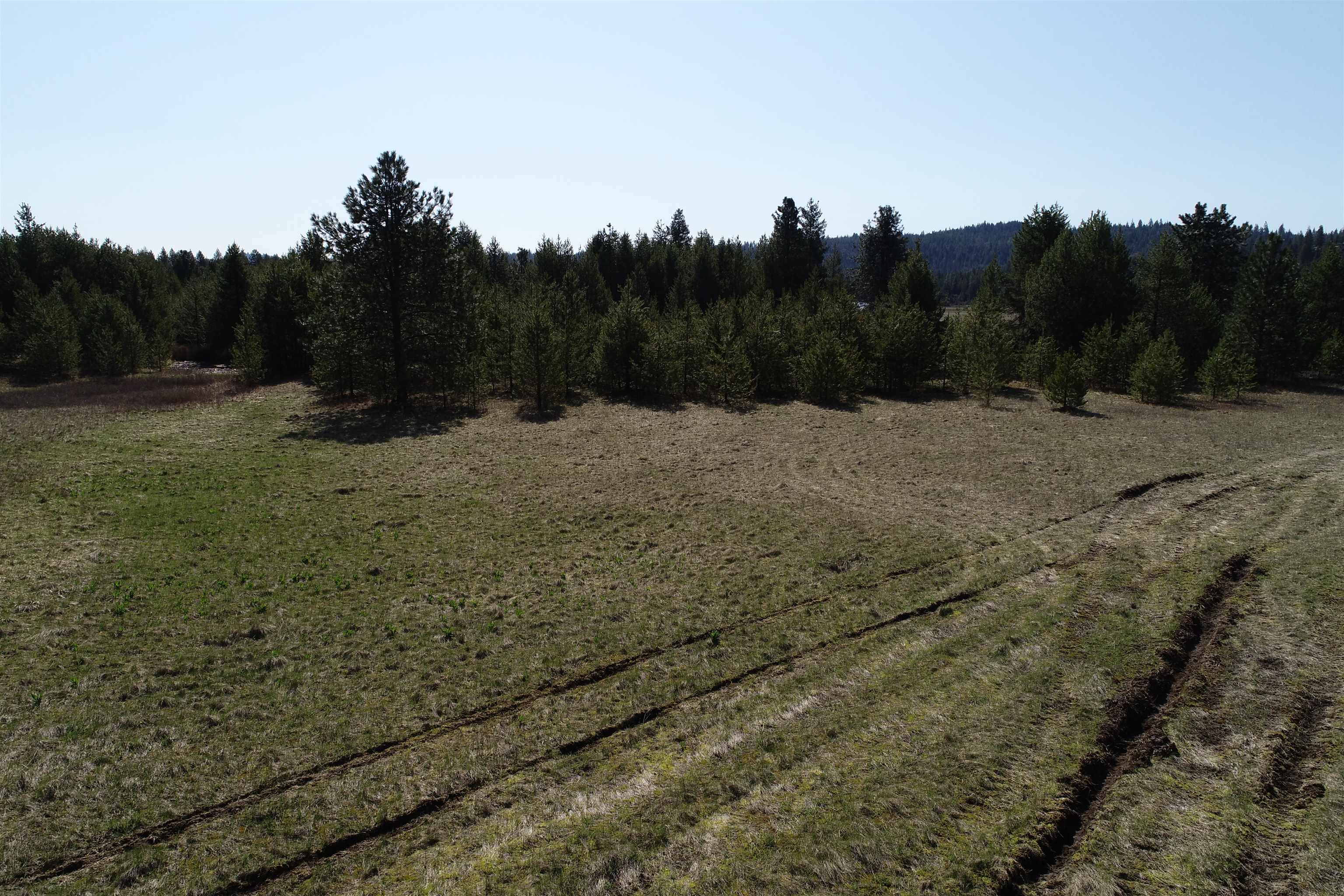 2020 Westside Calispell - Track A Rd - Photo 6