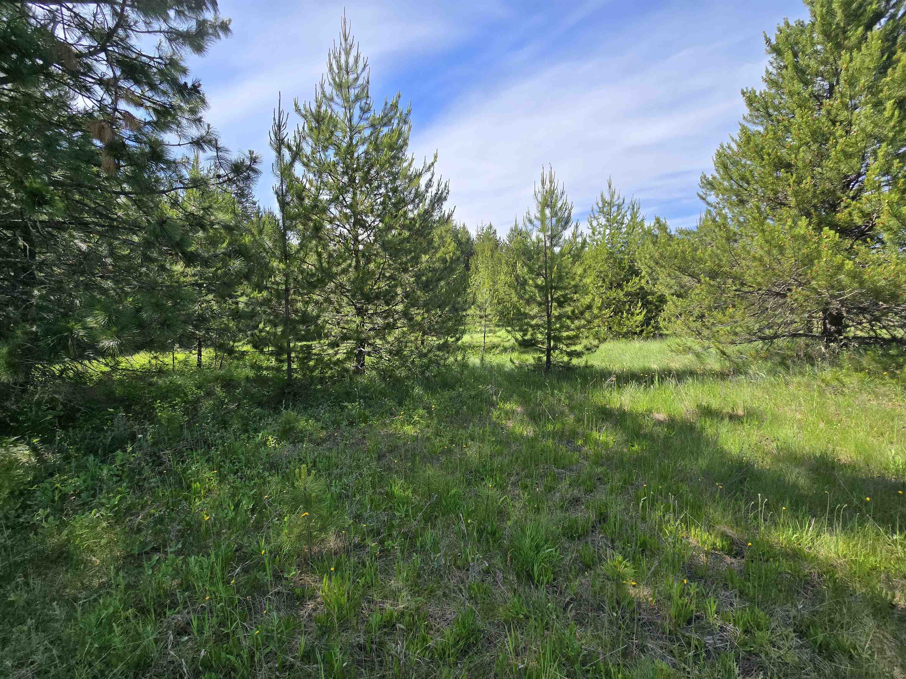 2040 Westside Calispell Track B Rd - Photo 11